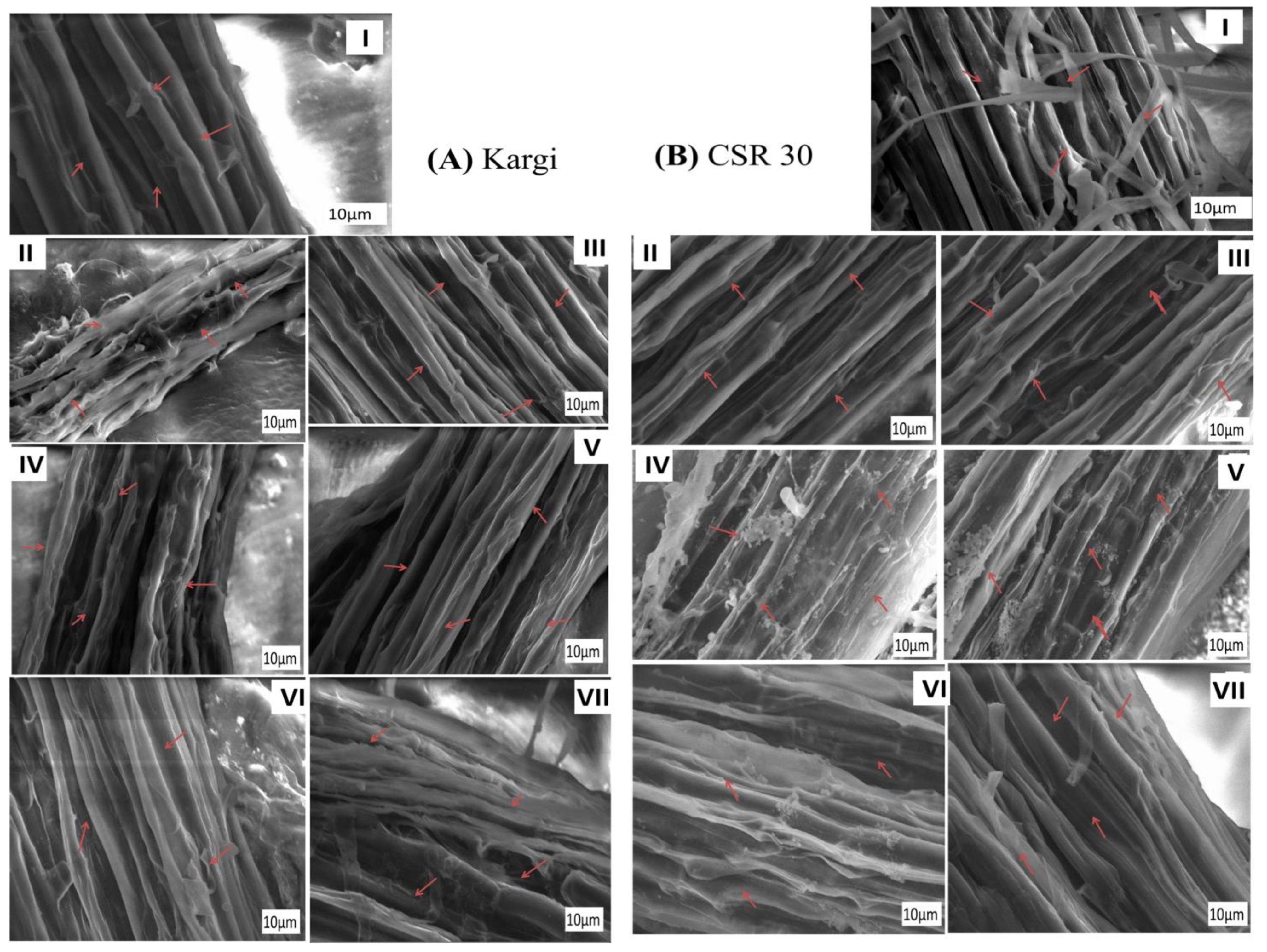 Stresses 03 00004 g006 Stresses 03 00004 g006