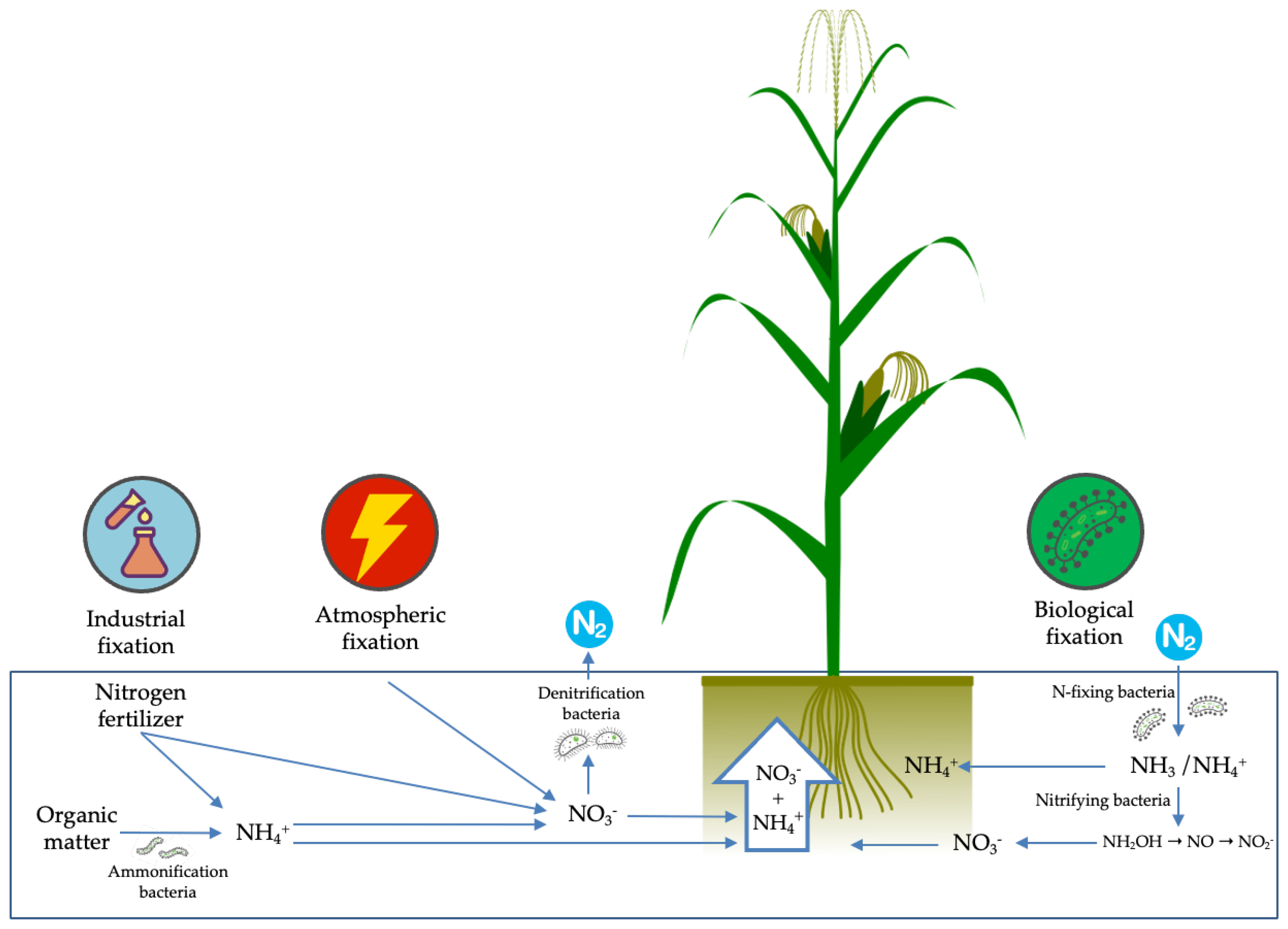Stresses 03 00011 g003