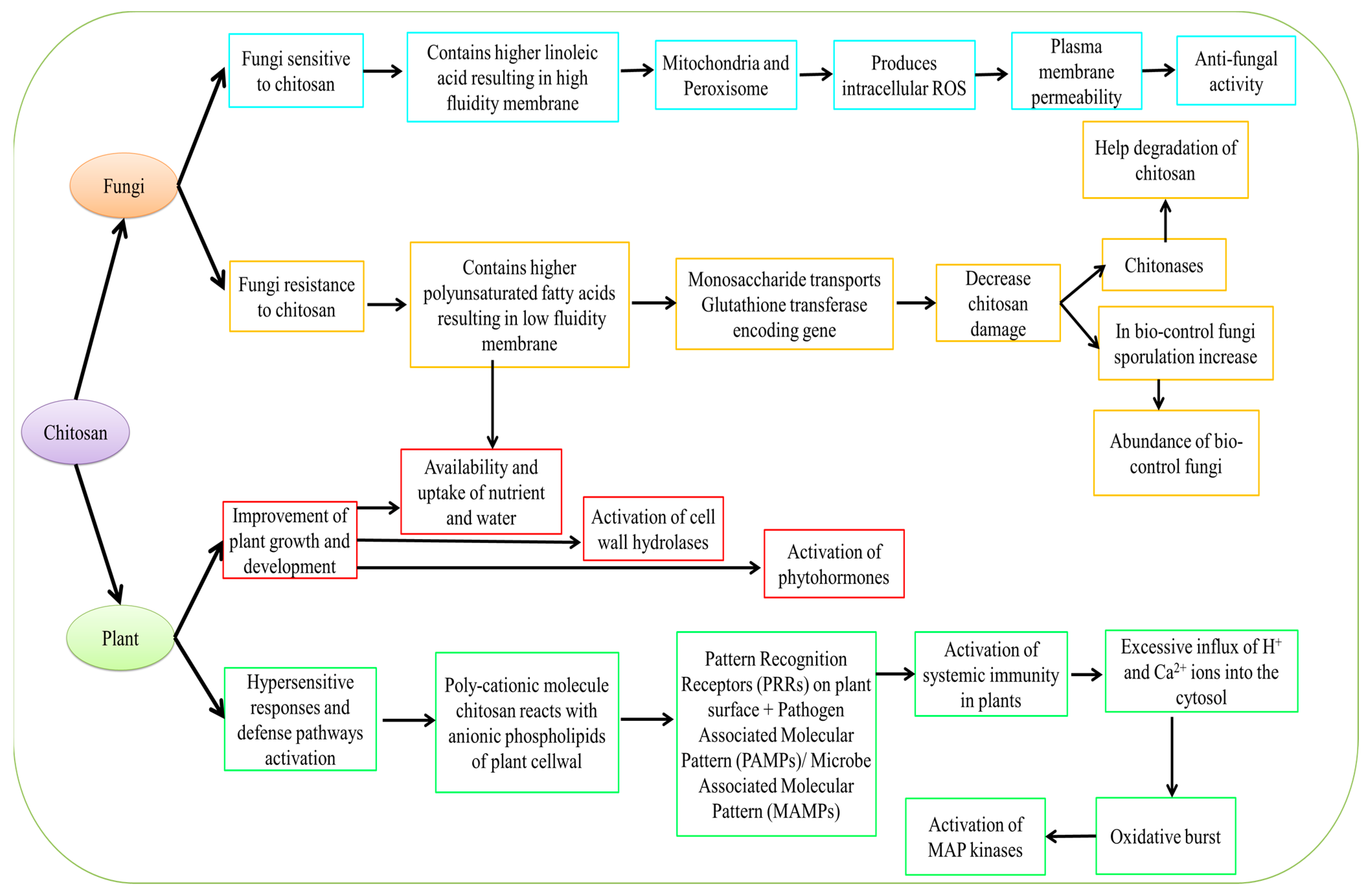 Stresses 03 00018 g004