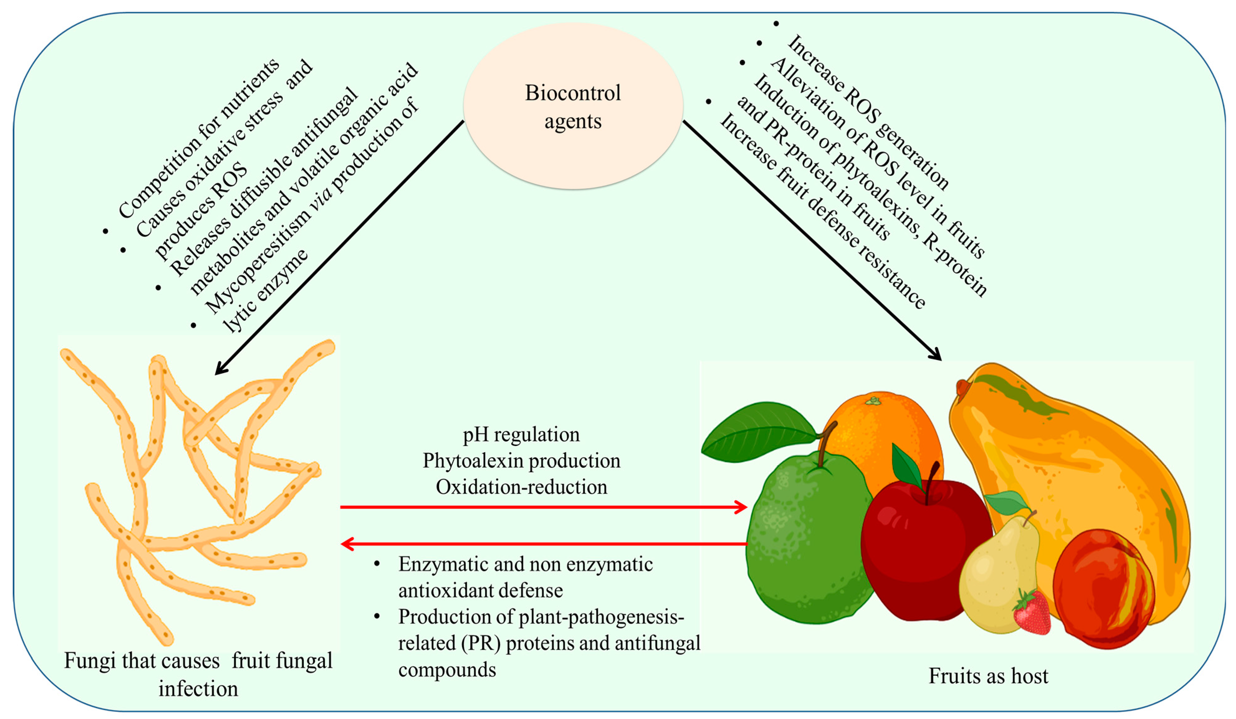 Stresses 03 00018 g005