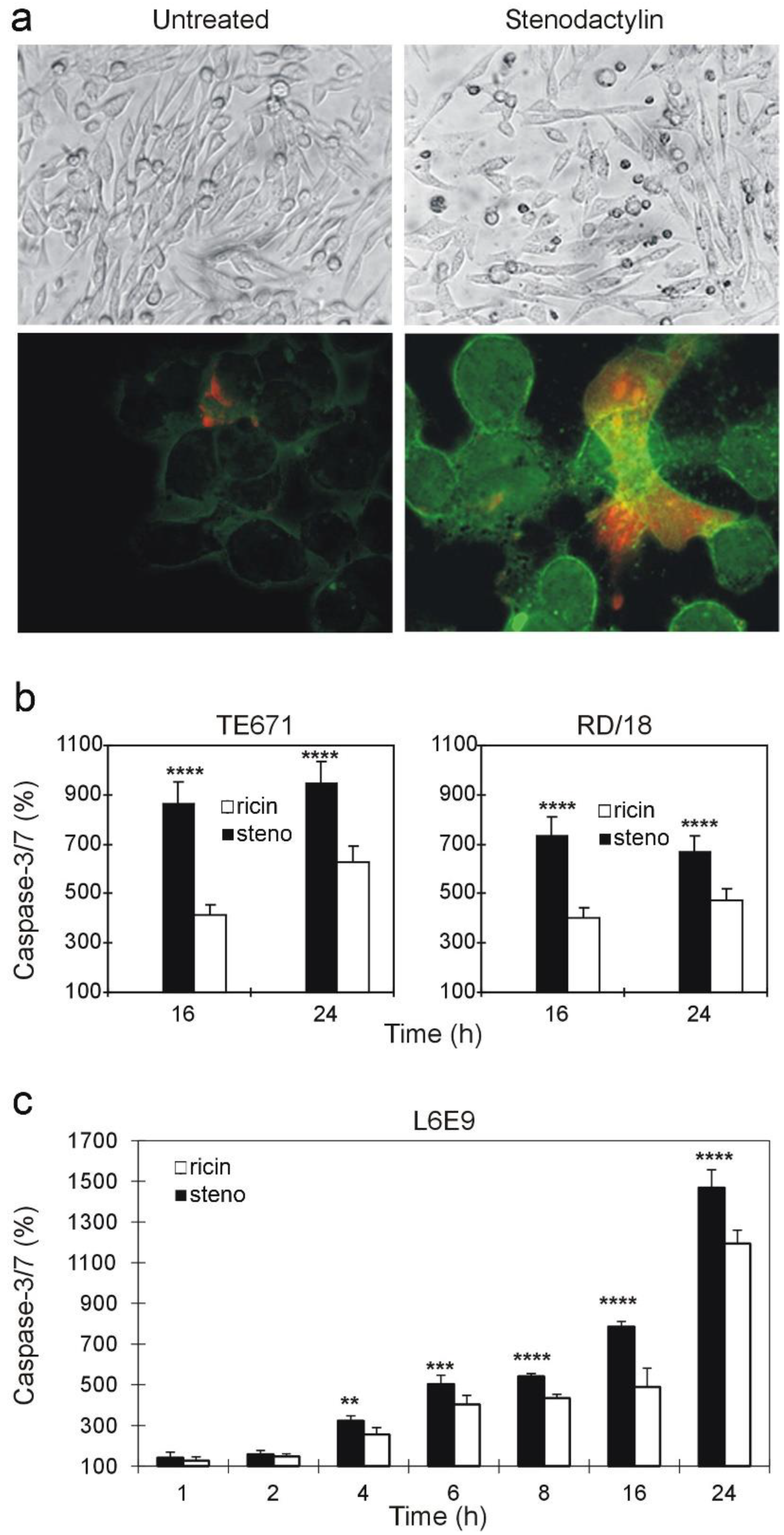 Stresses 03 00020 g004 Stresses 03 00020 g004