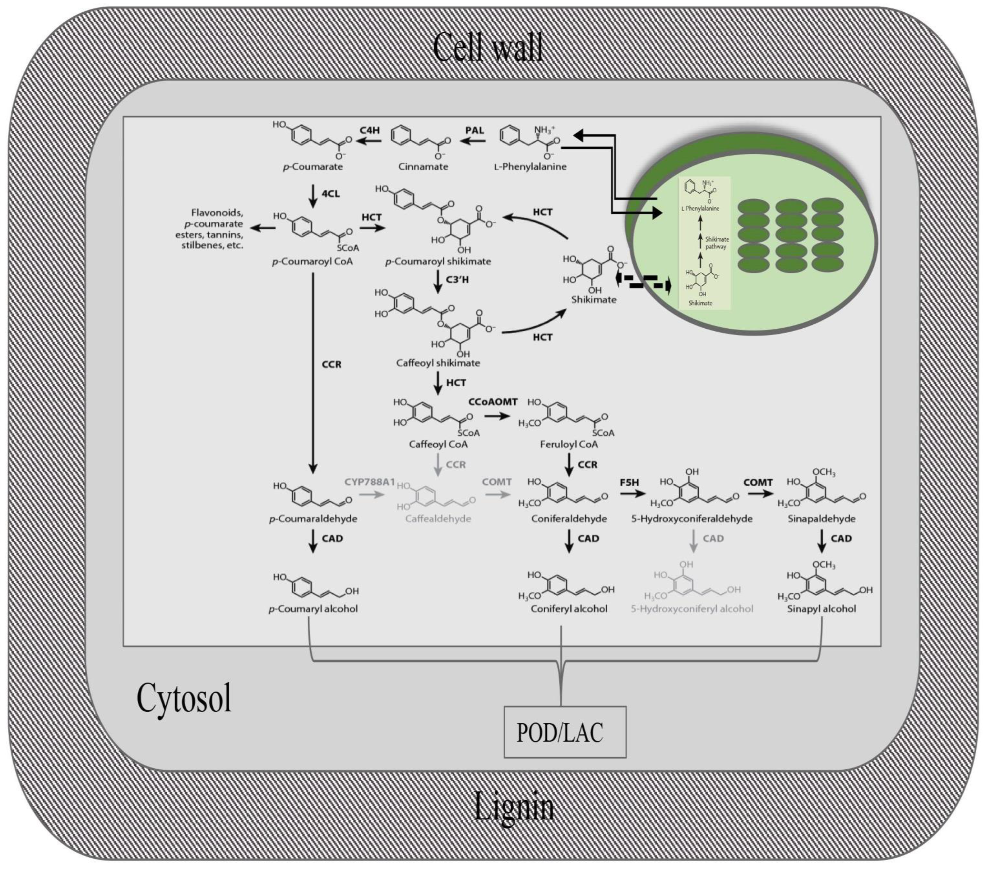 Stresses 03 00032 g002