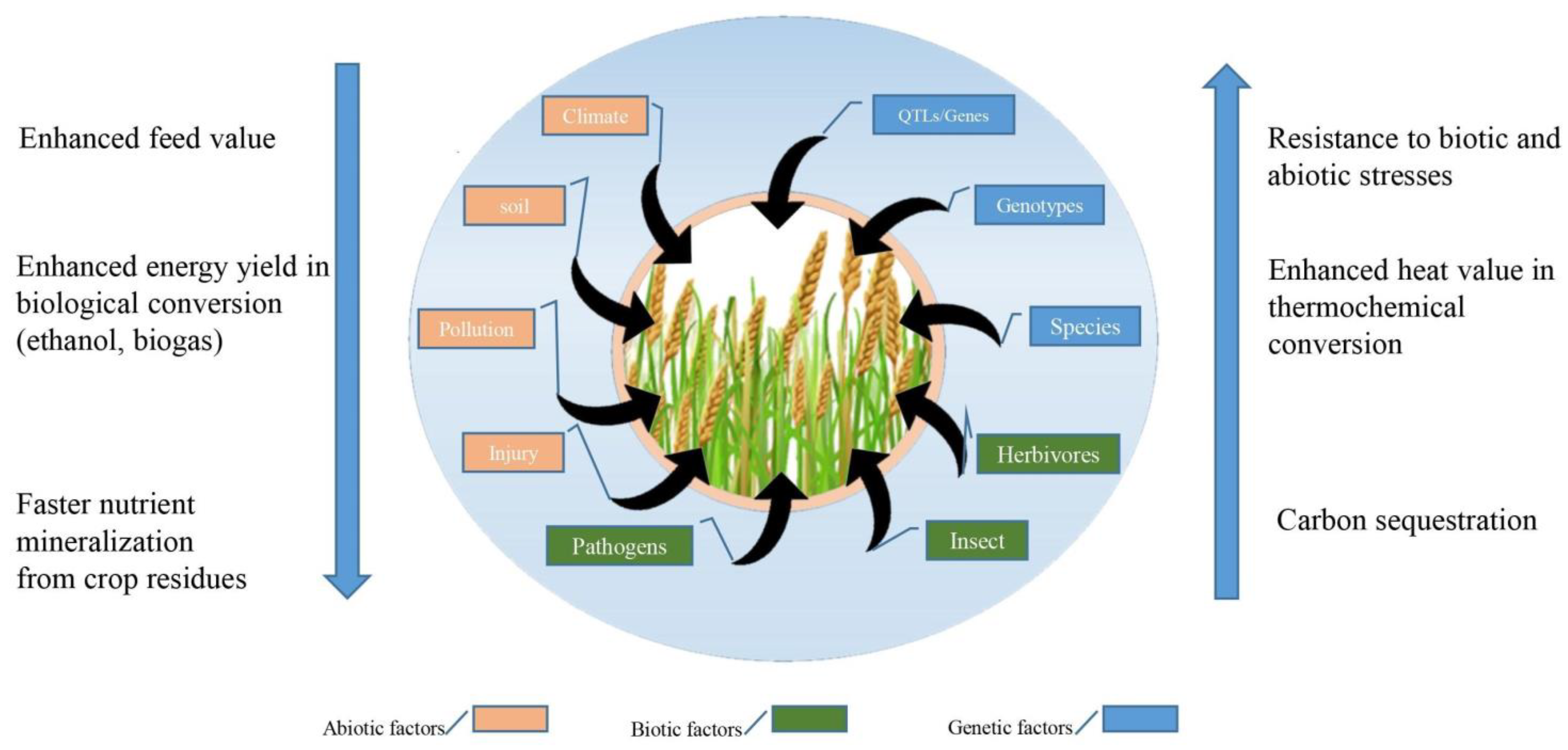 Stresses 03 00032 g004