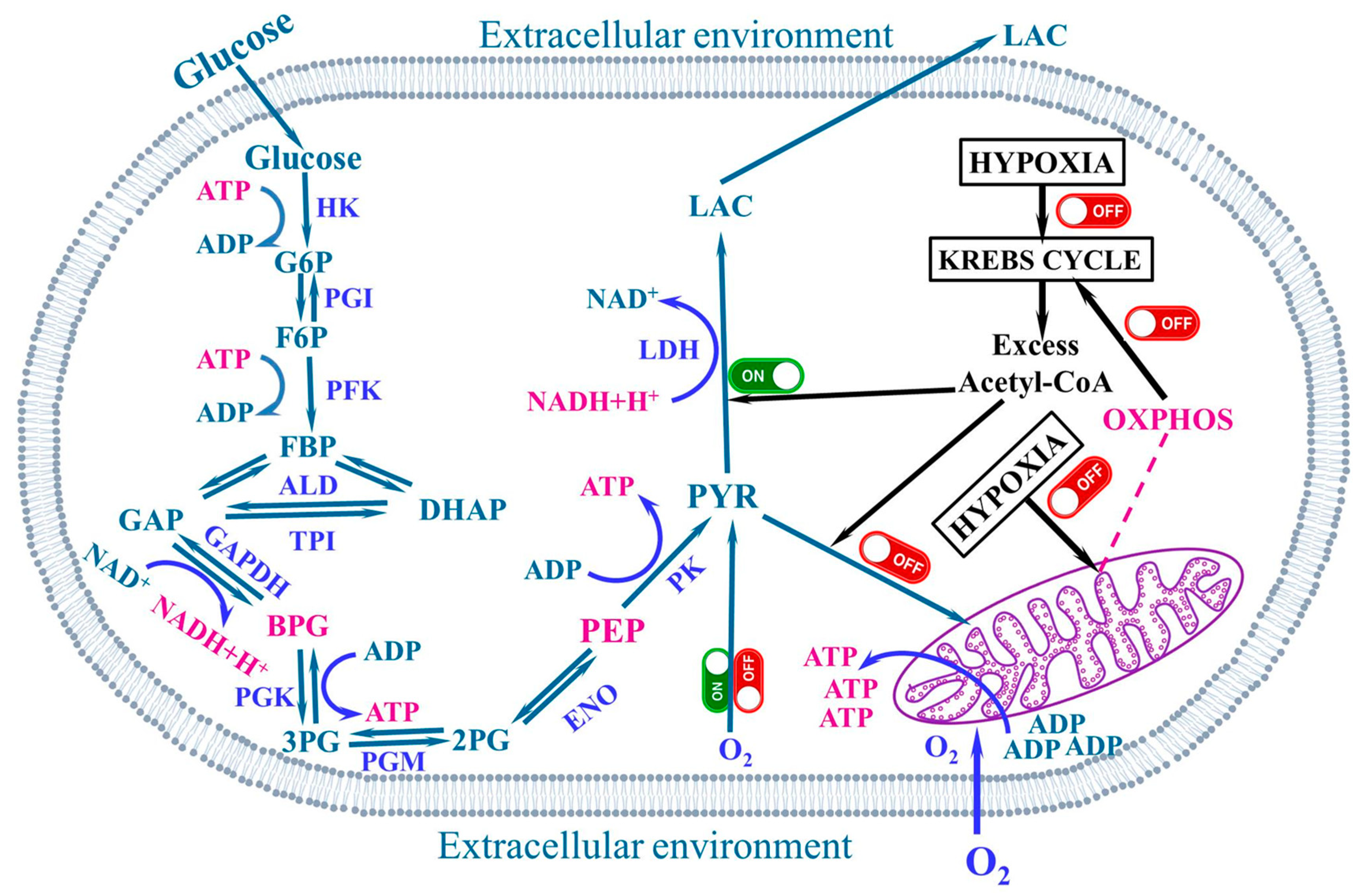 Stresses 03 00036 g003