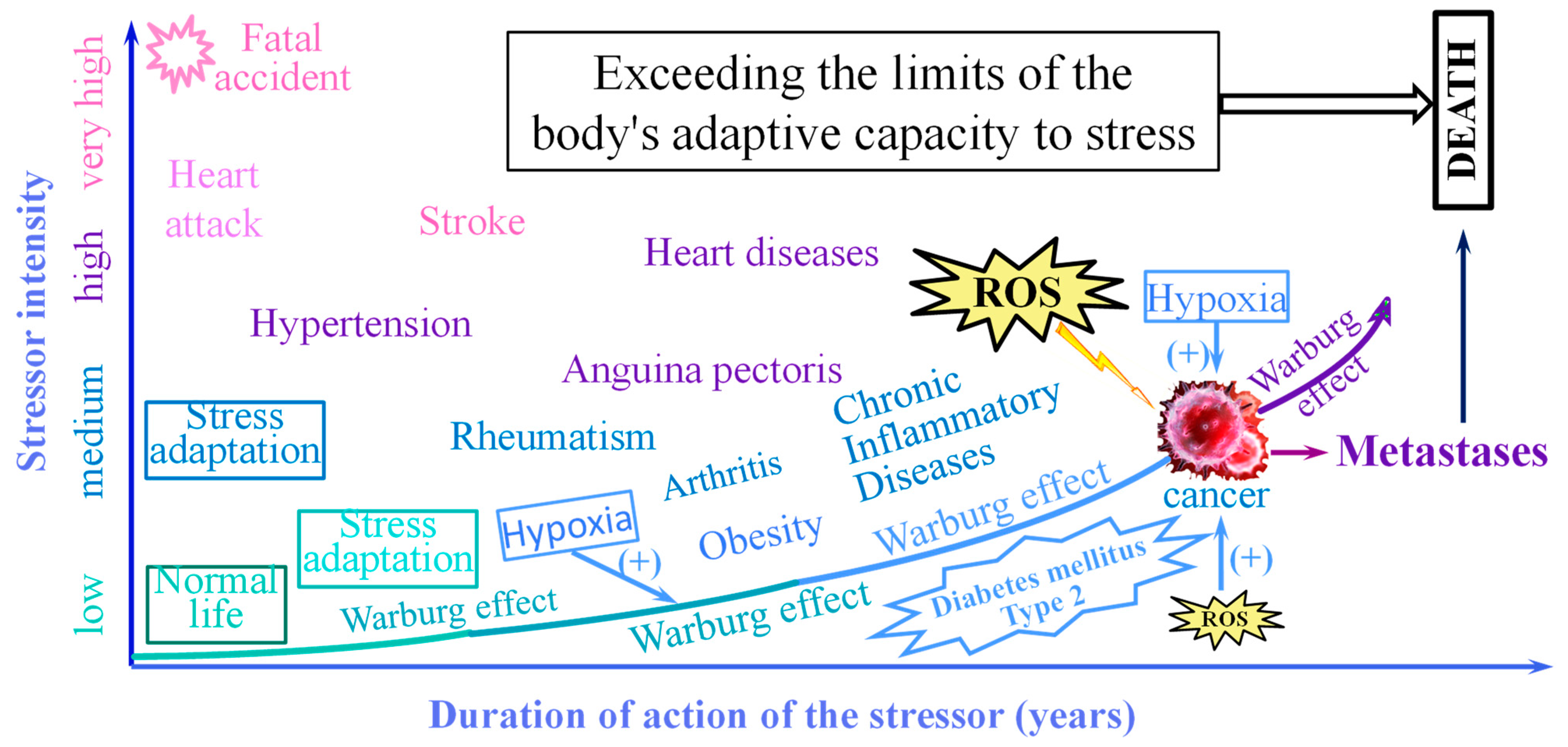 Stresses 03 00036 g004