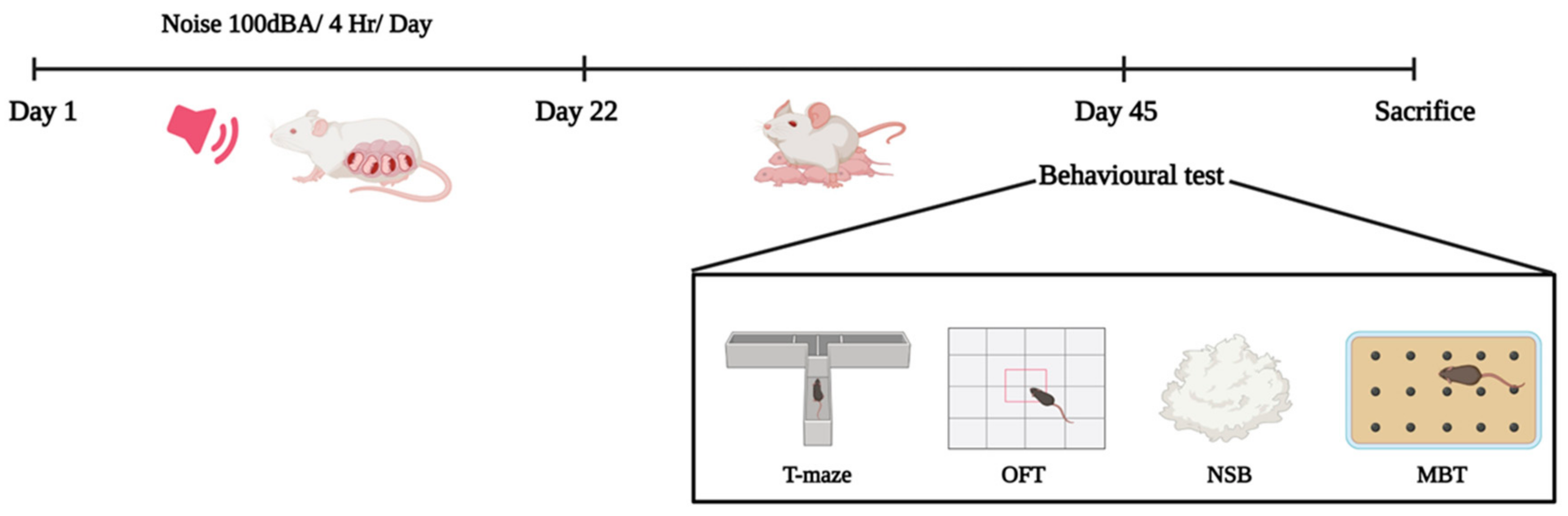 Stresses 03 00037 g005 Stresses 03 00037 g005