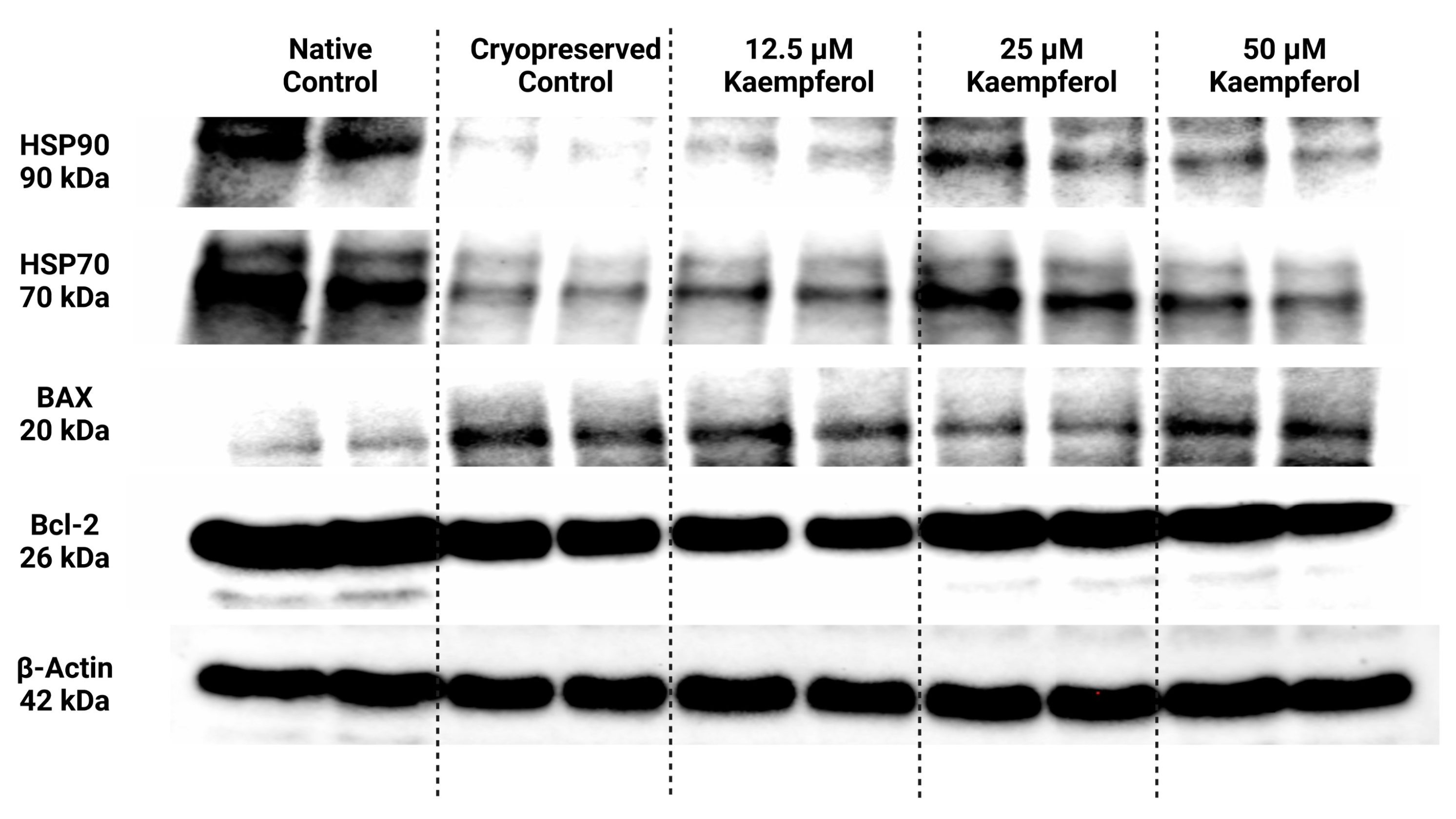 Stresses 03 00047 g004