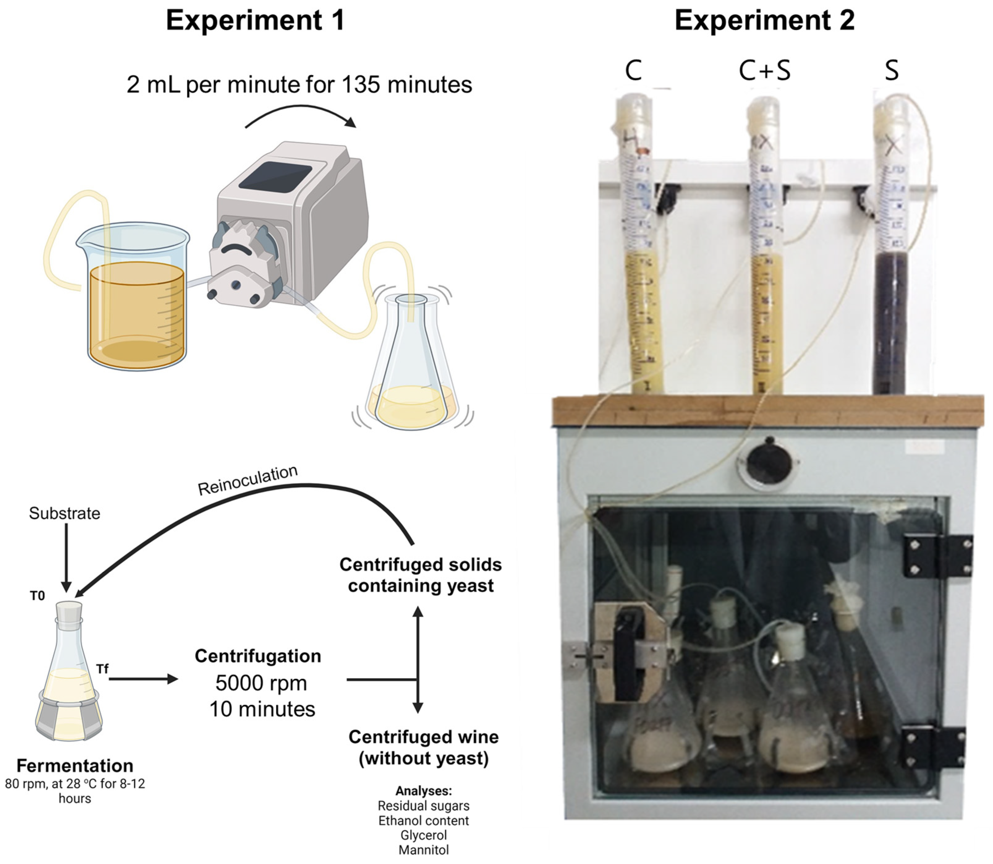 Stresses 03 00055 g004