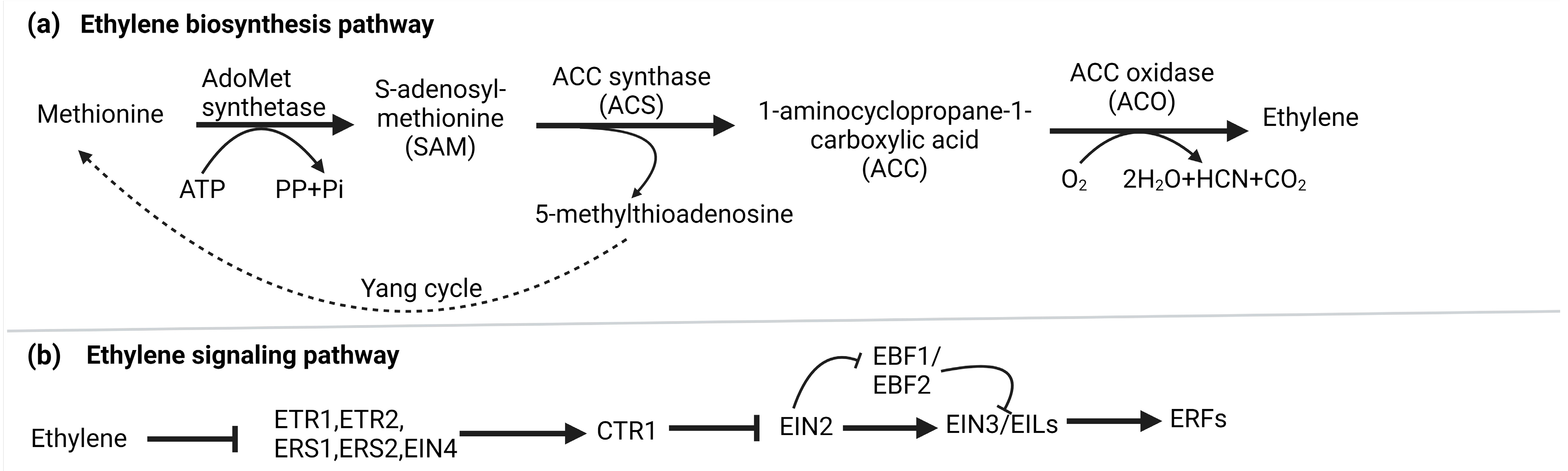 Stresses 04 00003 g001