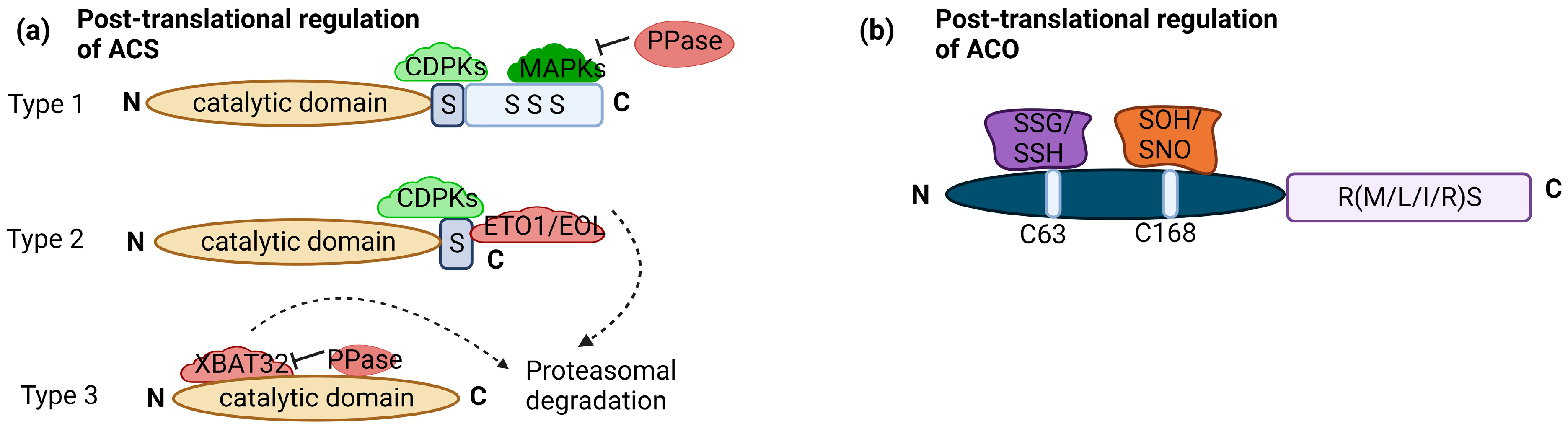 Stresses 04 00003 g002