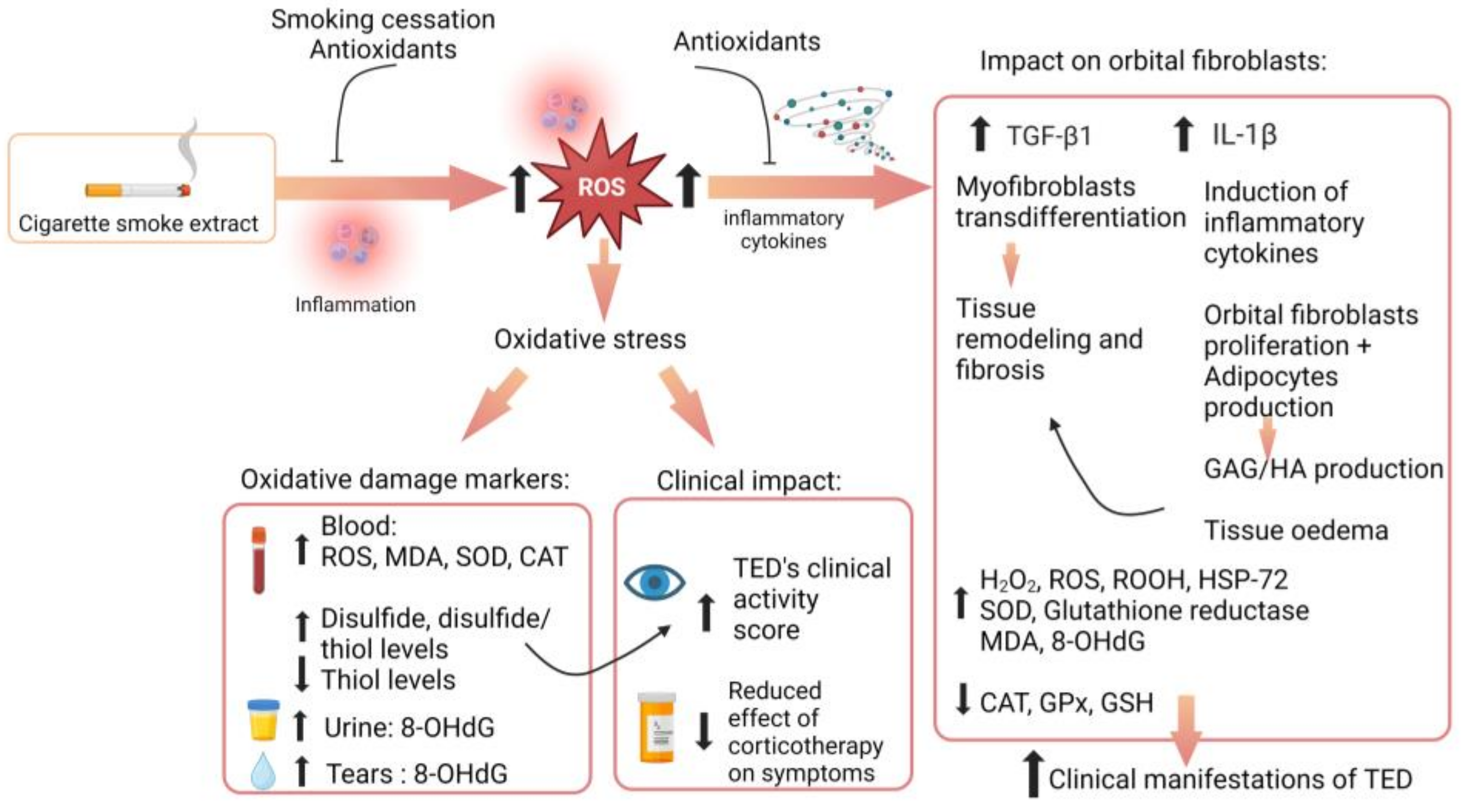 Stresses 04 00004 g002