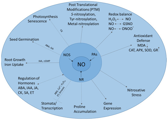 Stresses 04 00008 g001