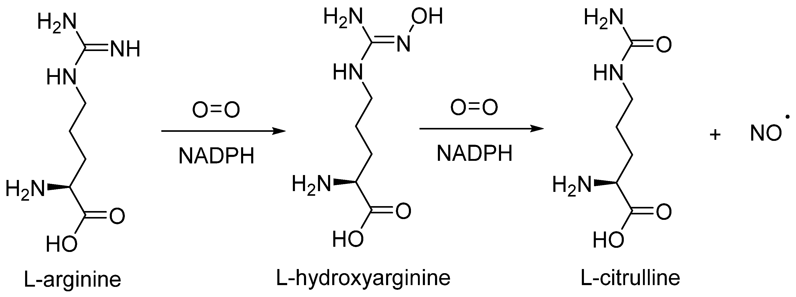 Stresses 04 00008 sch001 Stresses 04 00008 sch001