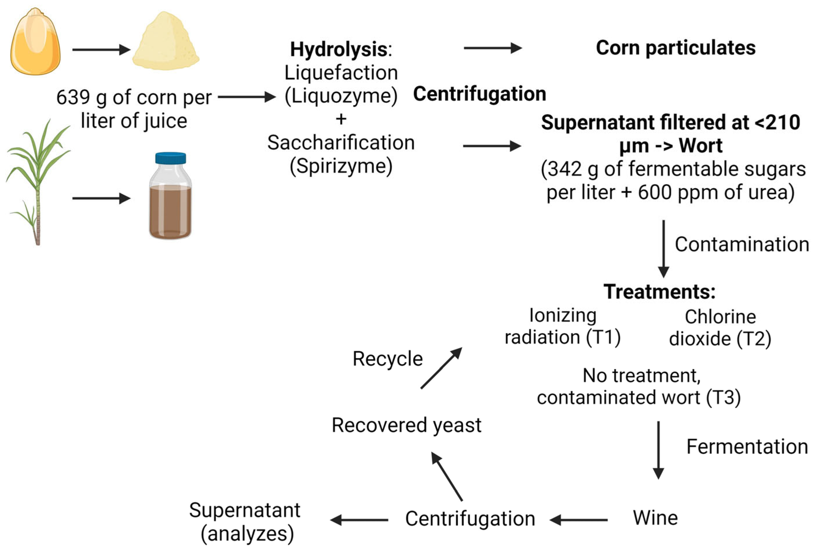 Stresses 04 00009 g002