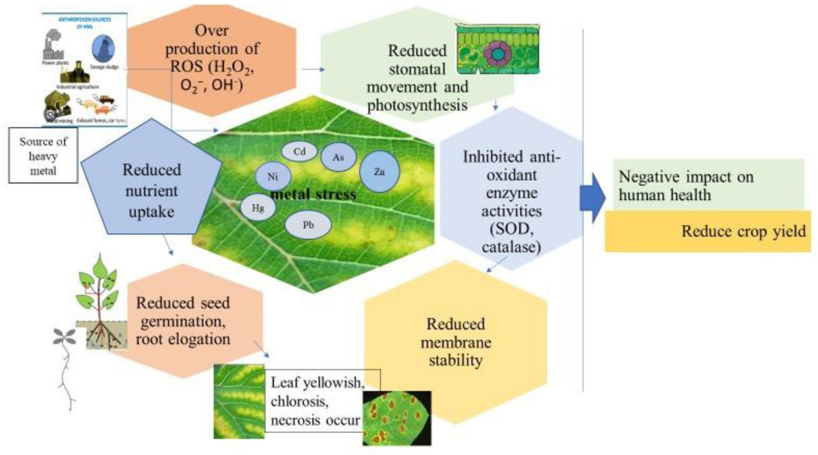 Stresses 04 00011 g002