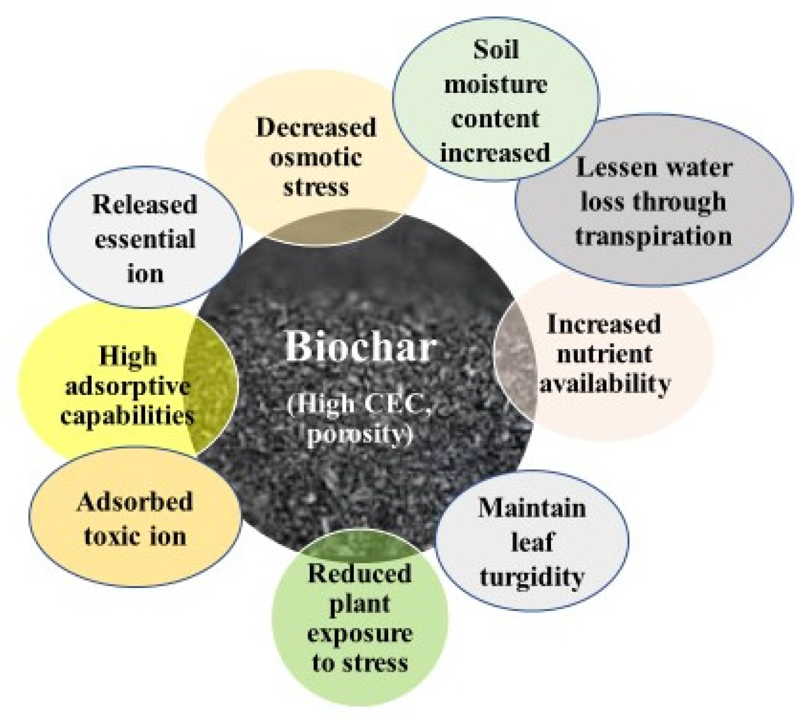 Stresses 04 00011 g004