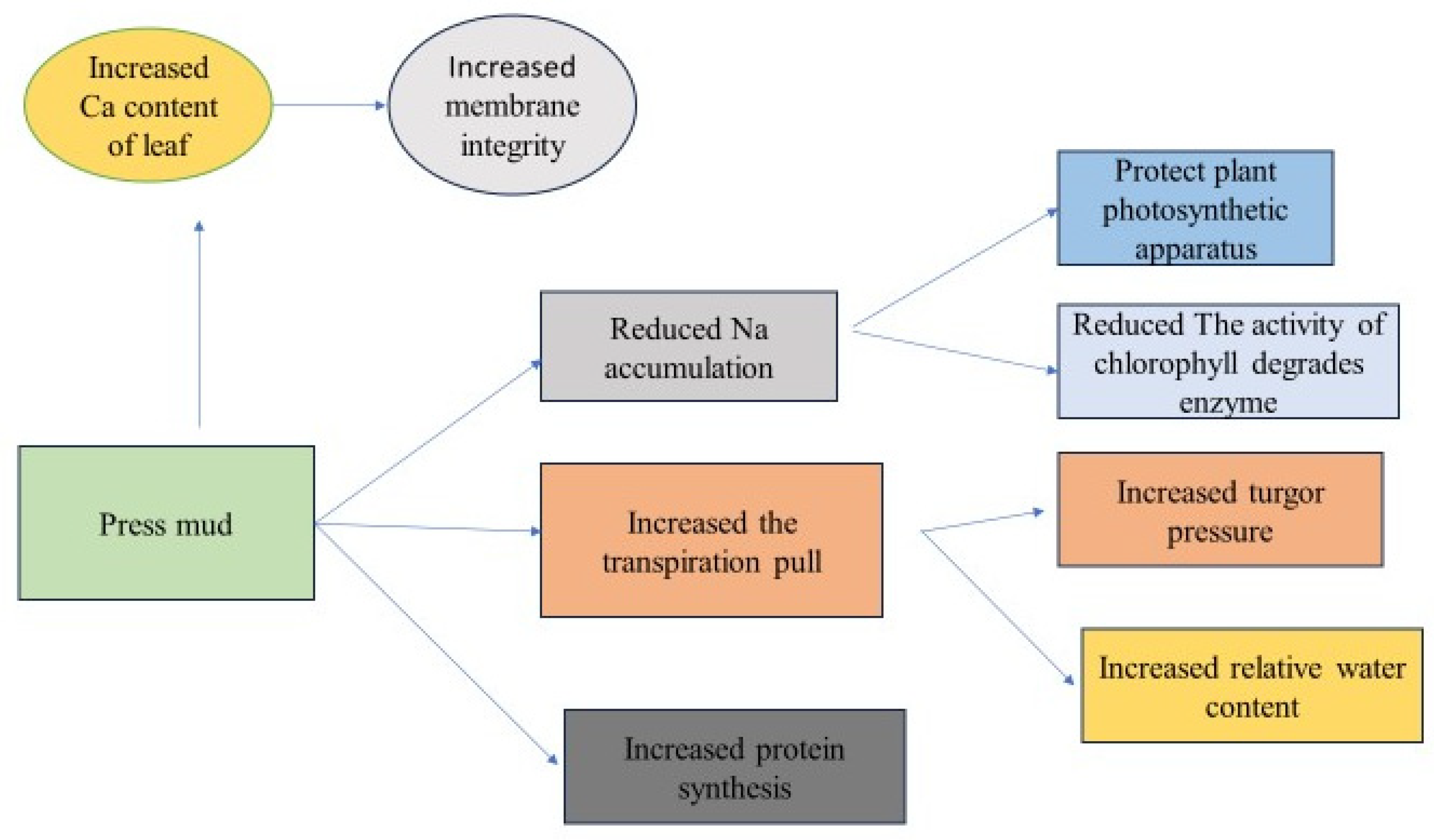 Stresses 04 00011 g007