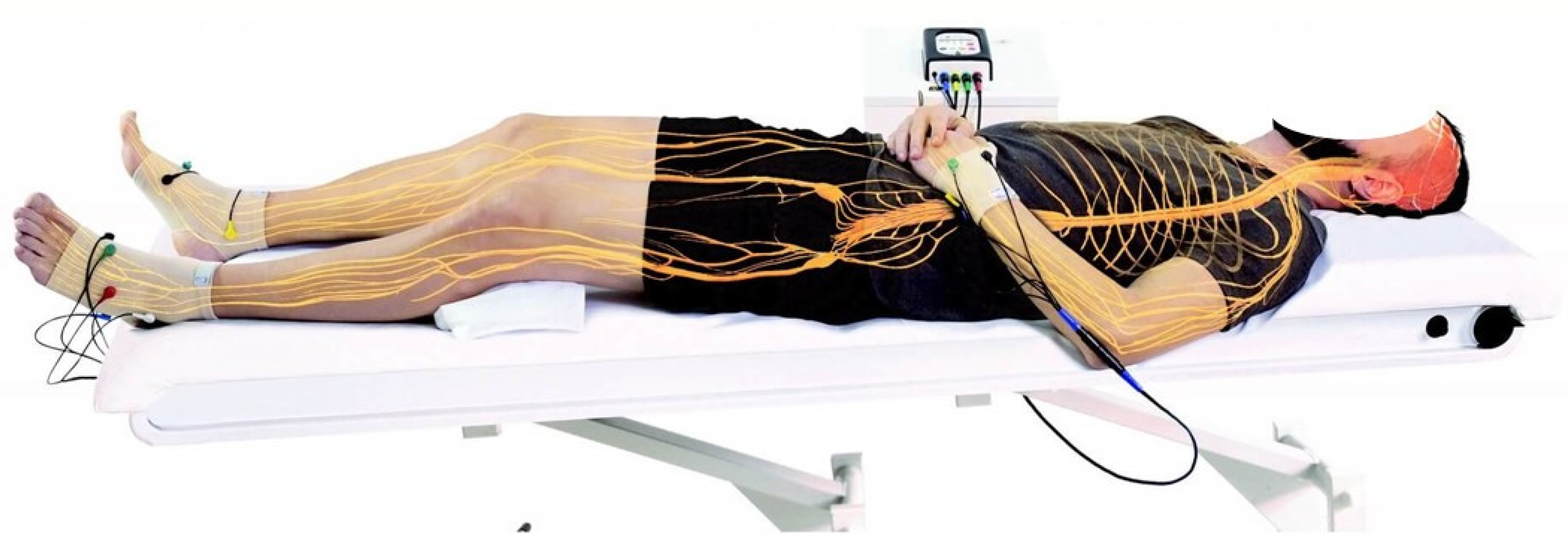 Stresses 04 00014 g002