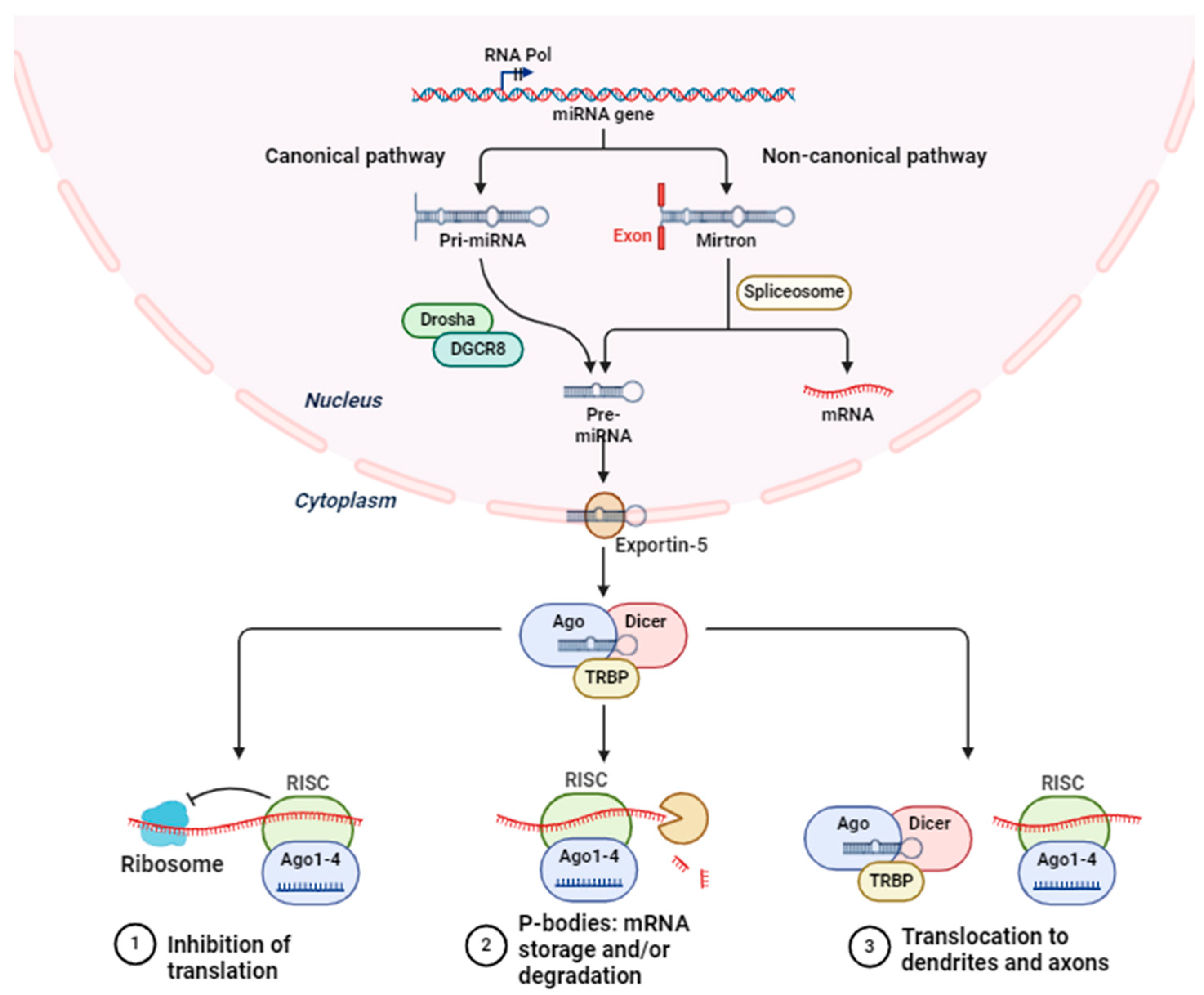 Stresses 04 00016 g001