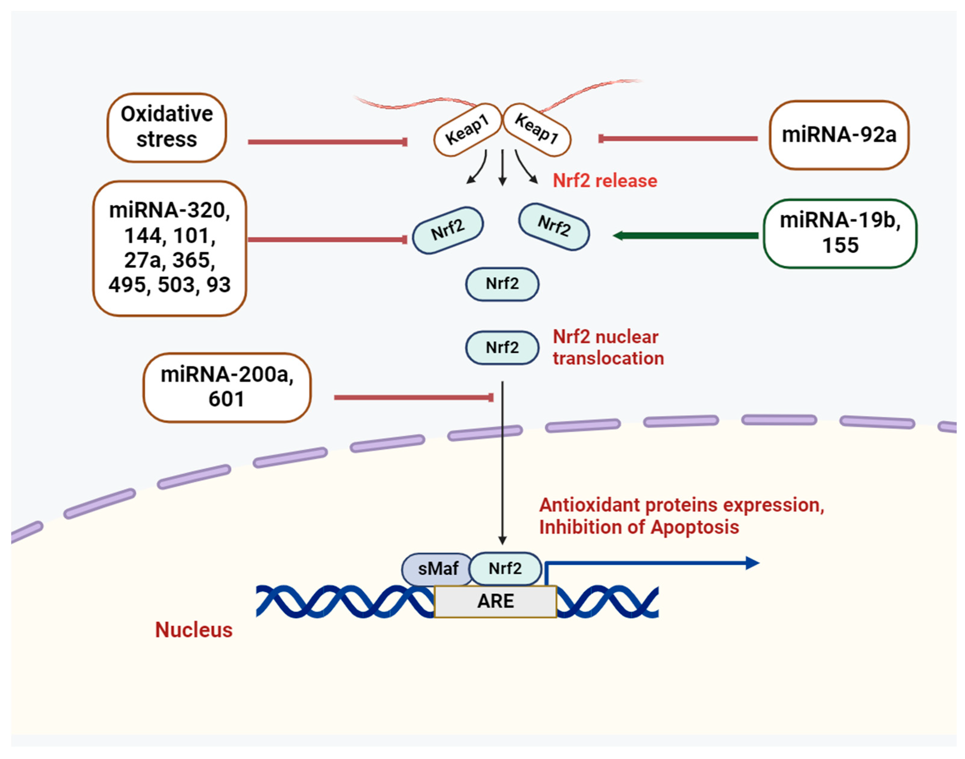 Stresses 04 00016 g002