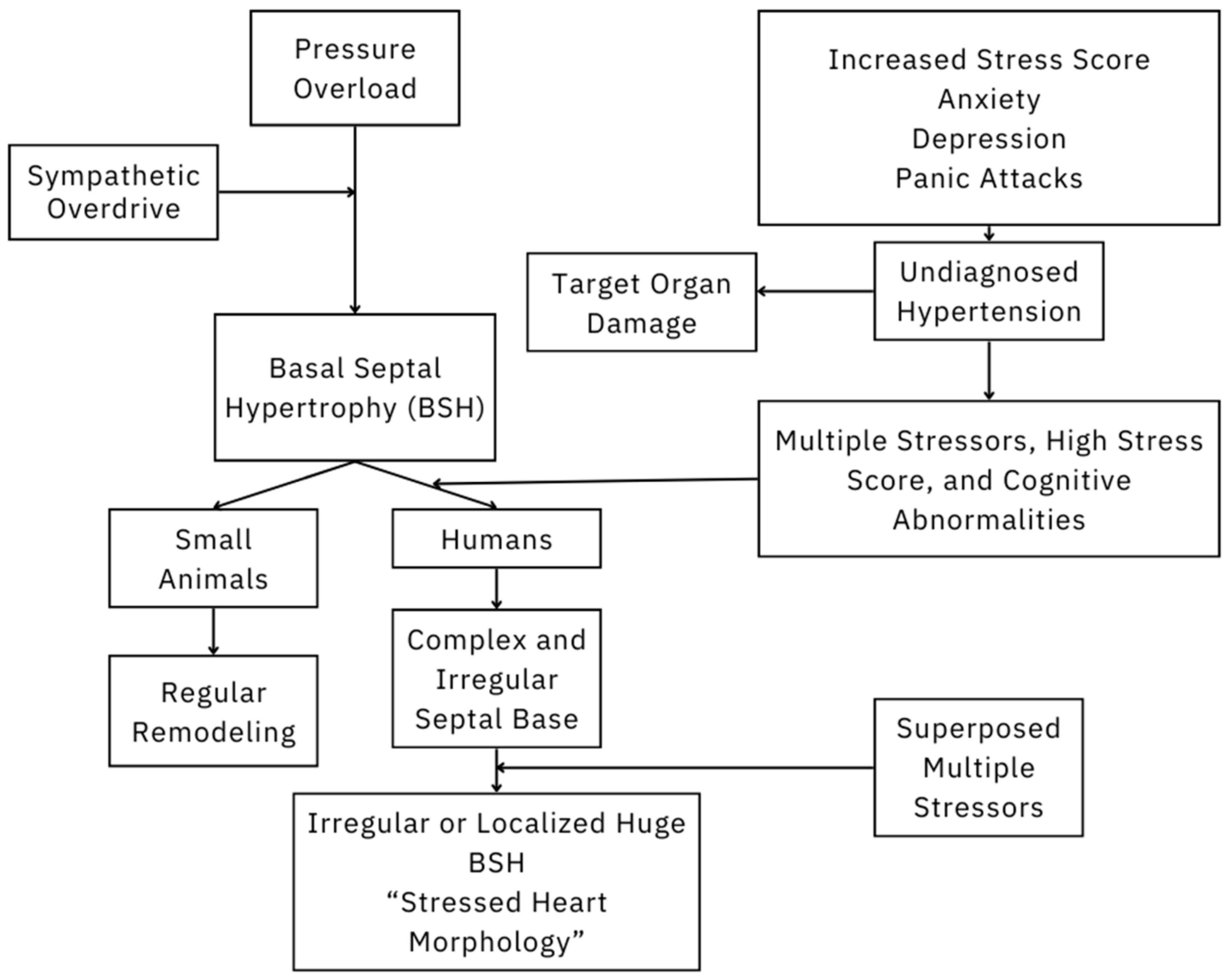 Stresses 04 00021 g001