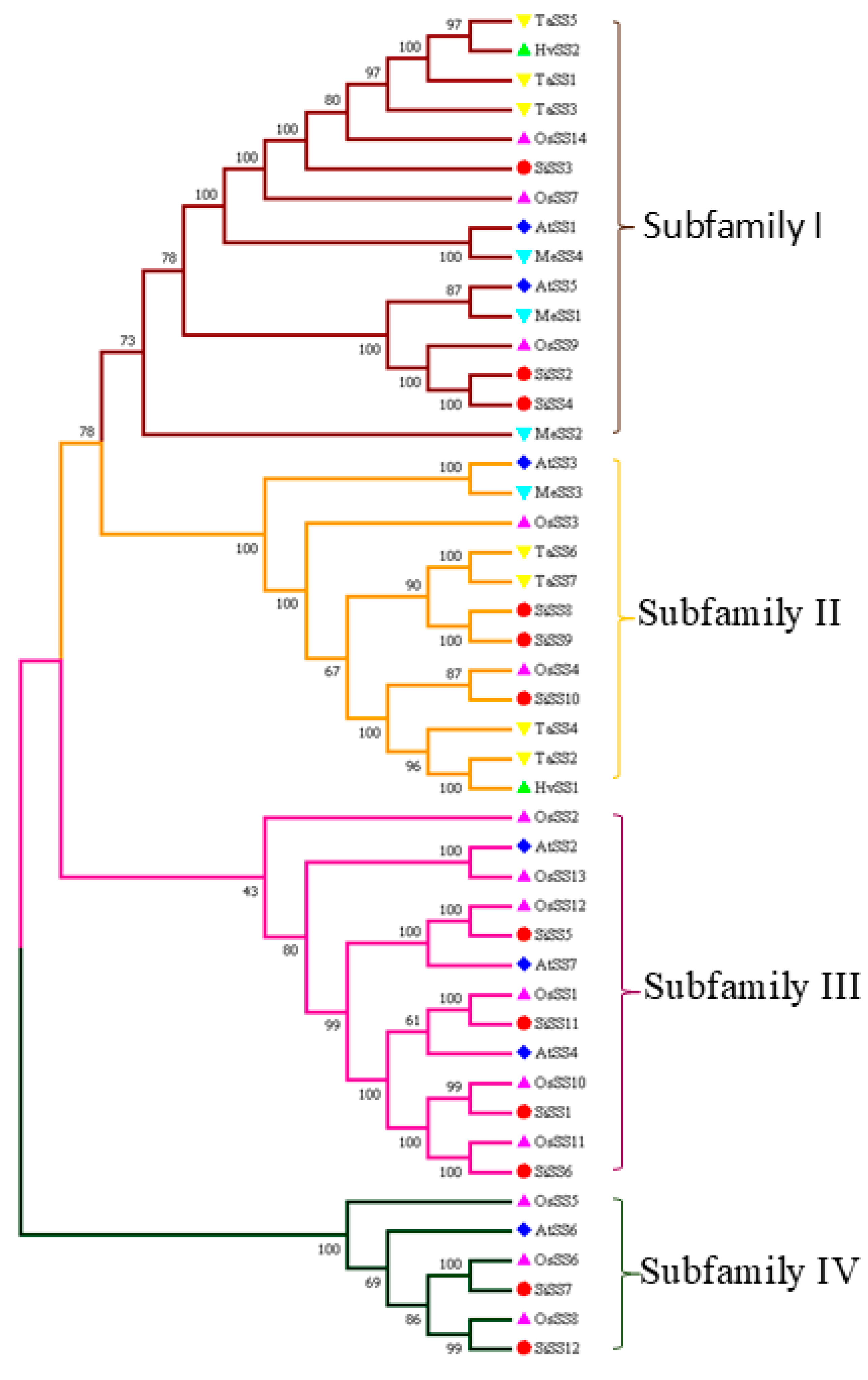 Stresses 04 00033 g001