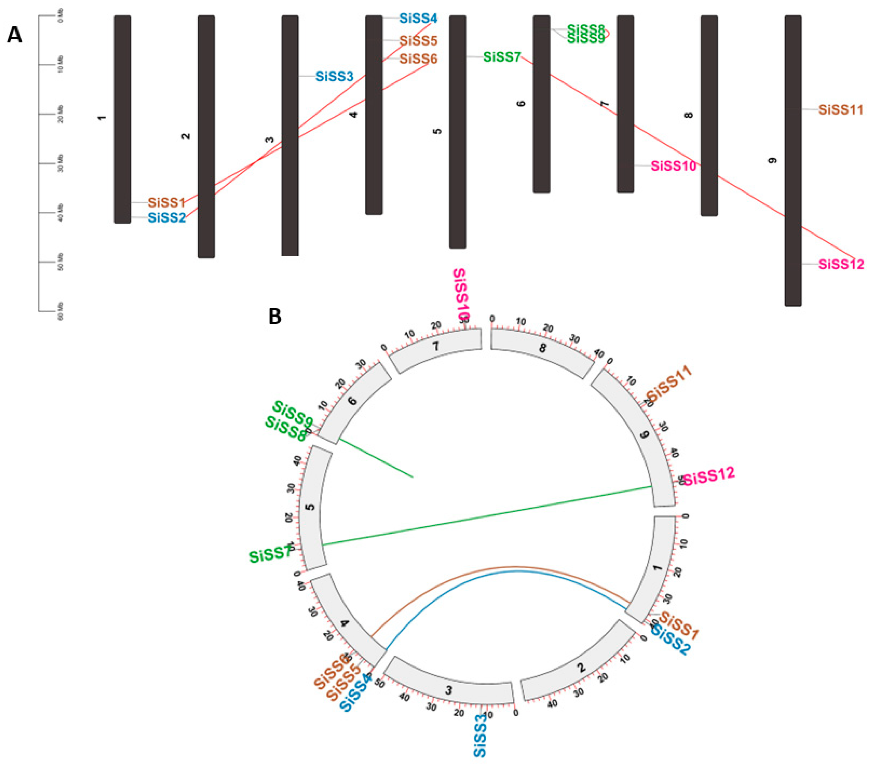 Stresses 04 00033 g003