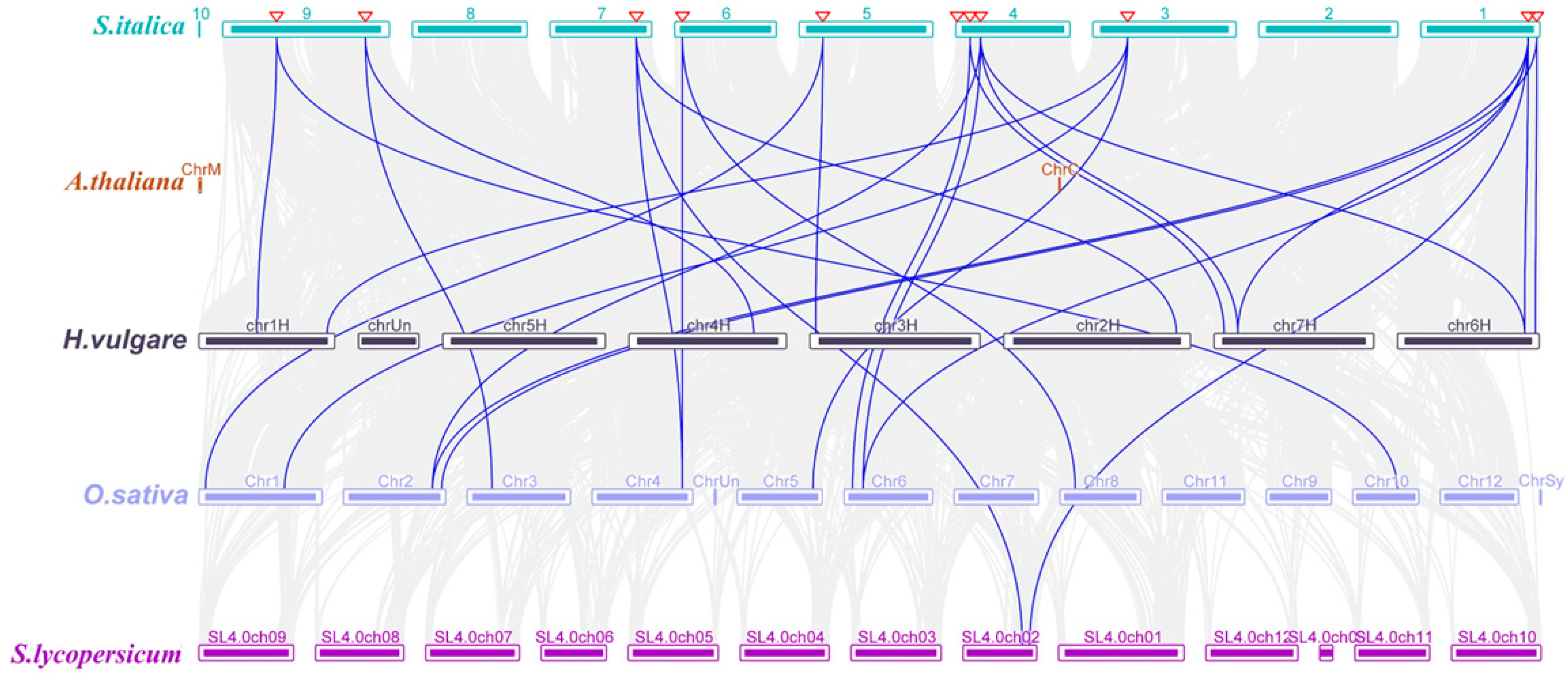 Stresses 04 00033 g004