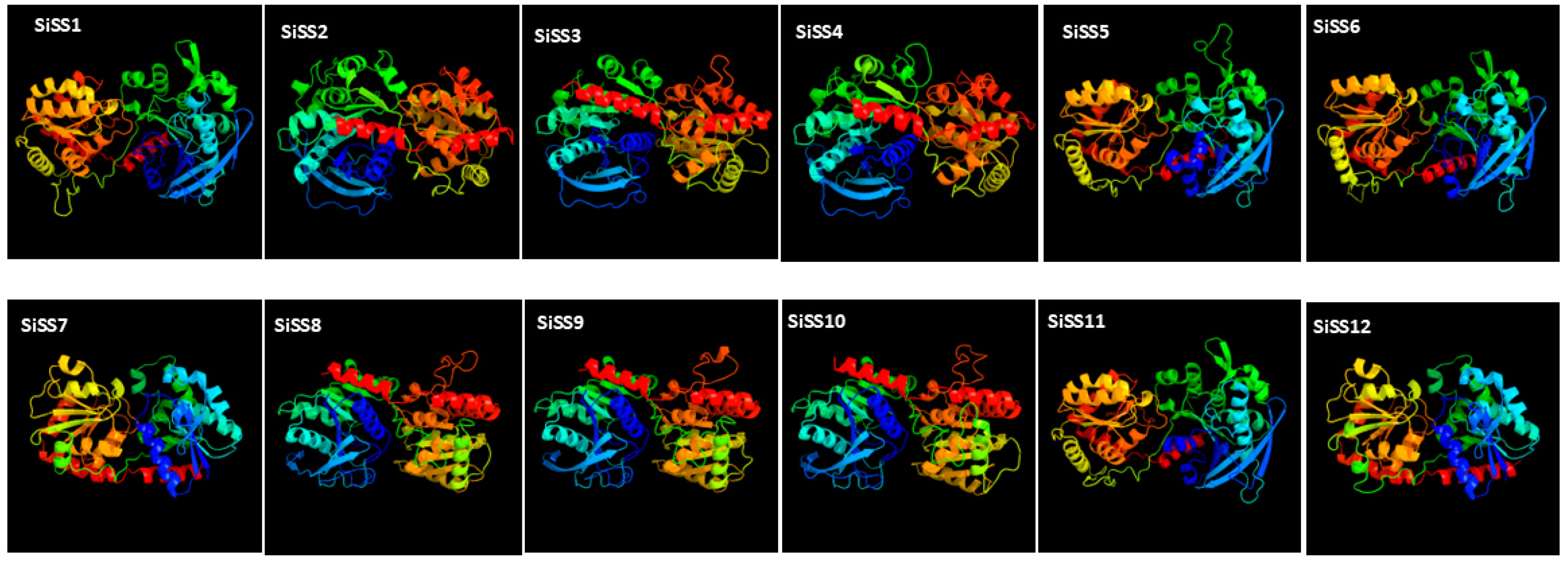 Stresses 04 00033 g006