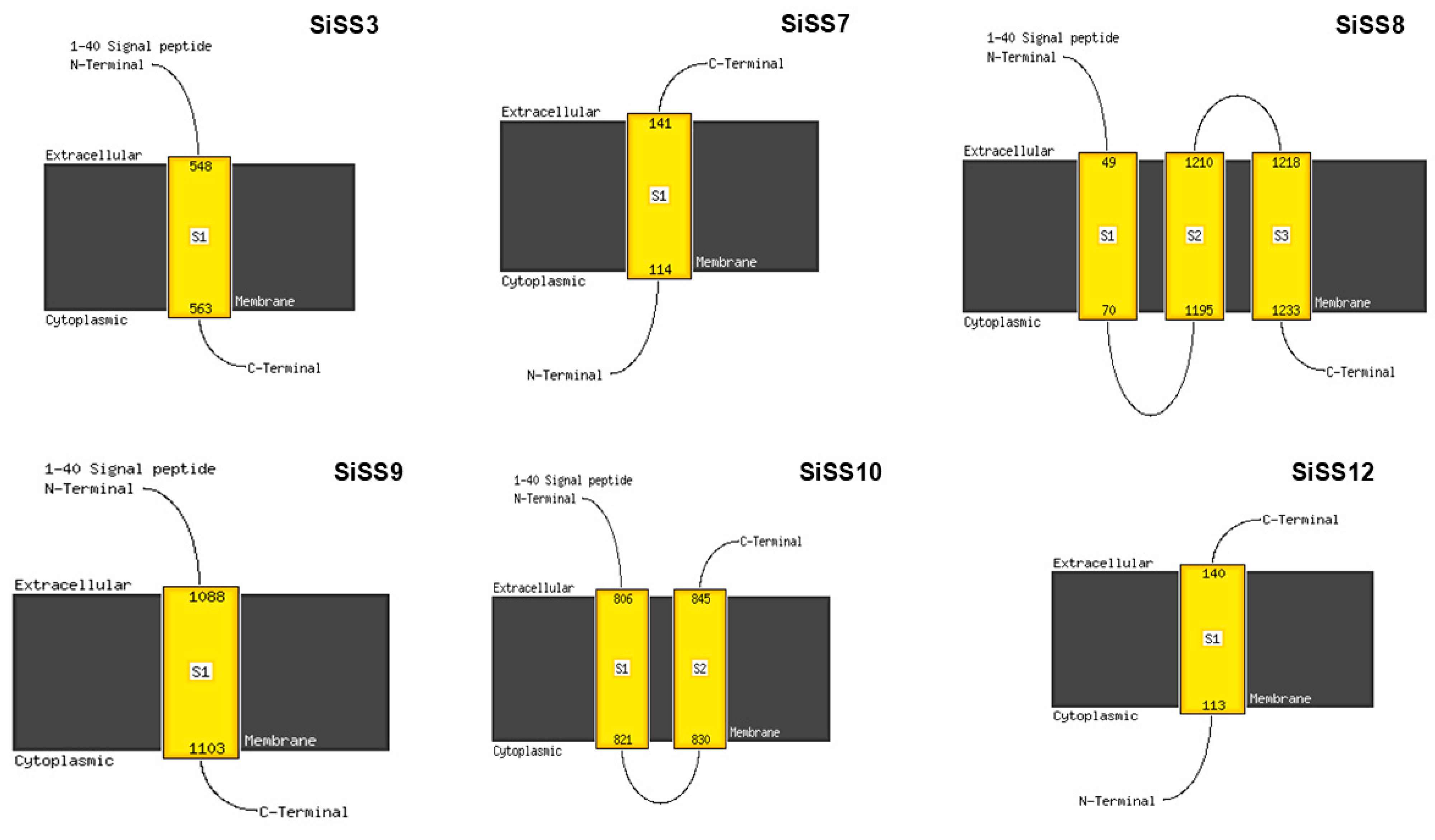 Stresses 04 00033 g007