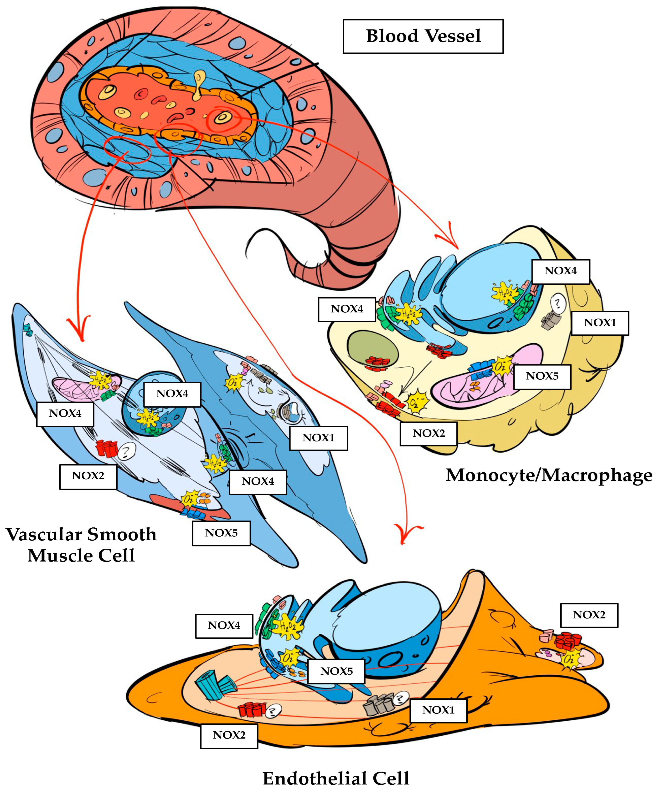 Stresses 04 00036 g001