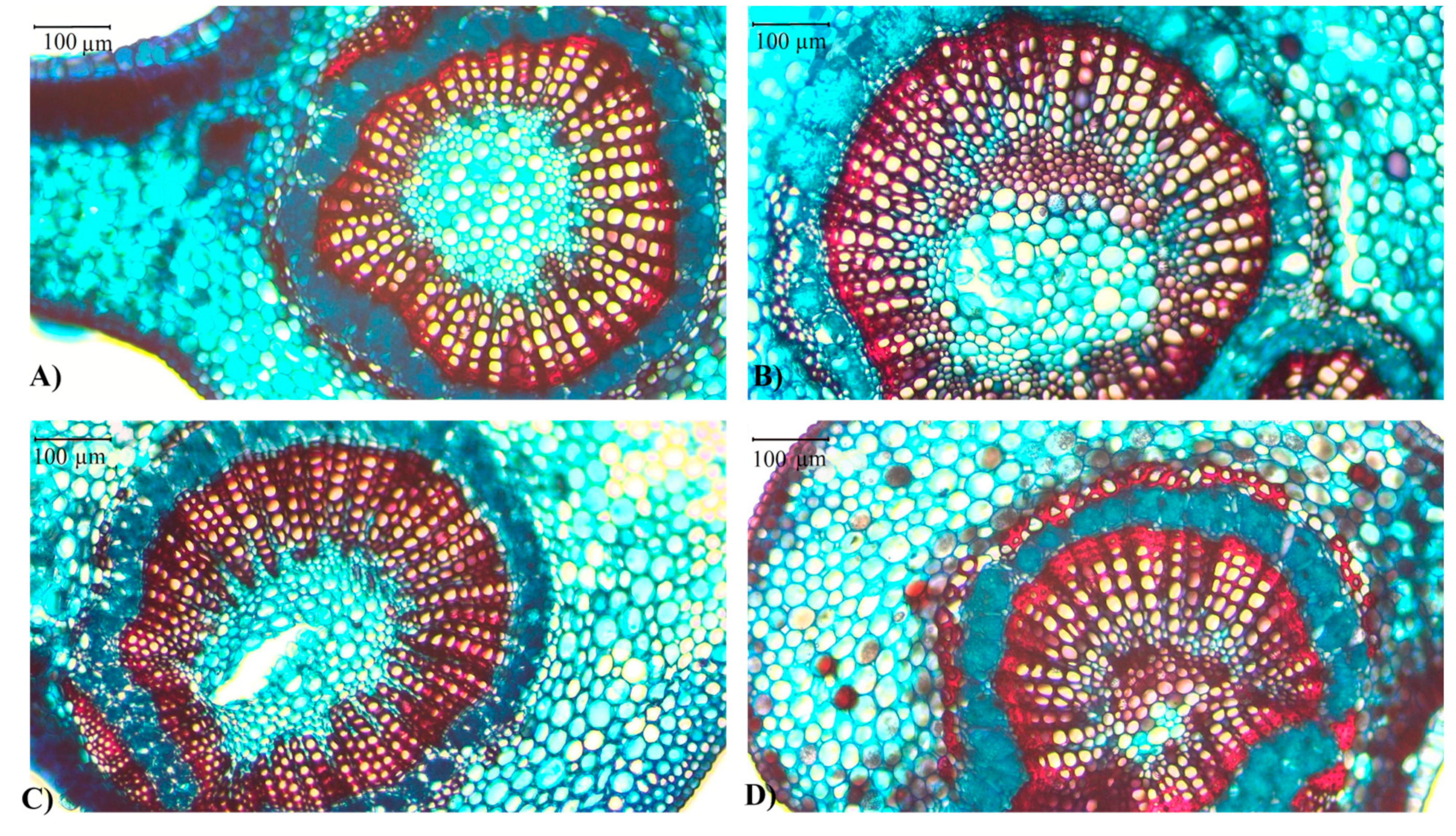 Stresses 04 00037 g007