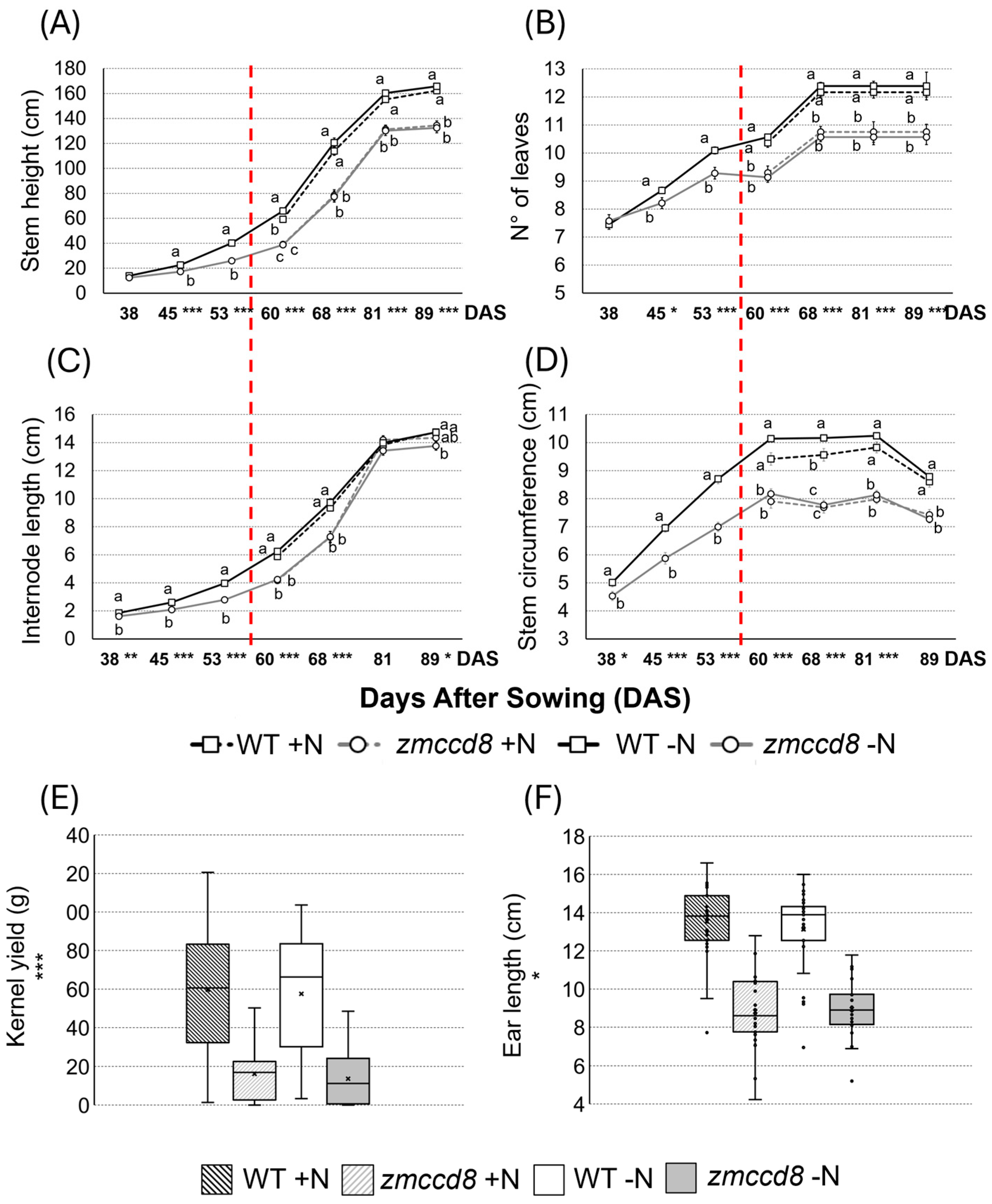 Stresses 04 00039 g001