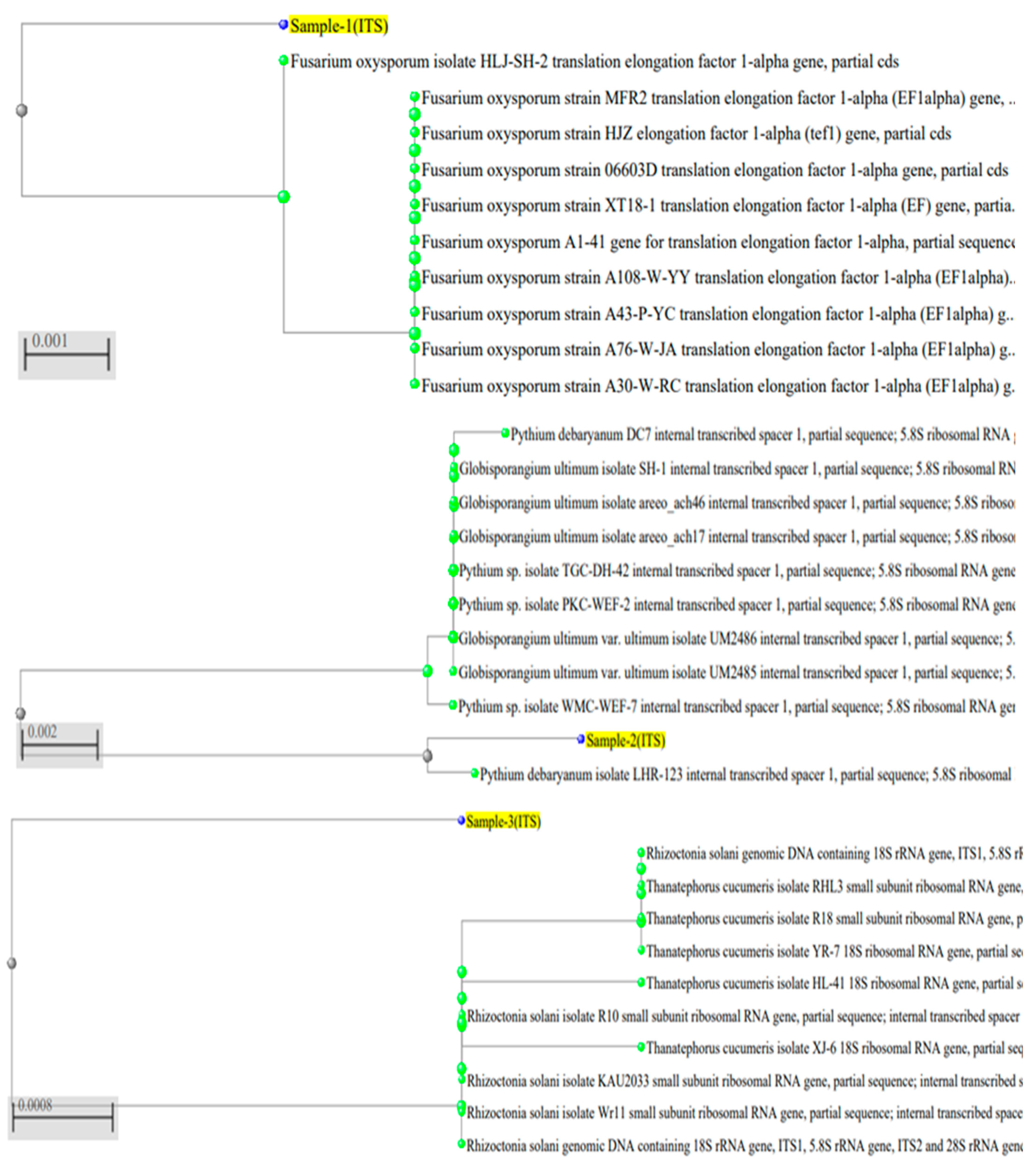 Stresses 05 00009 g001