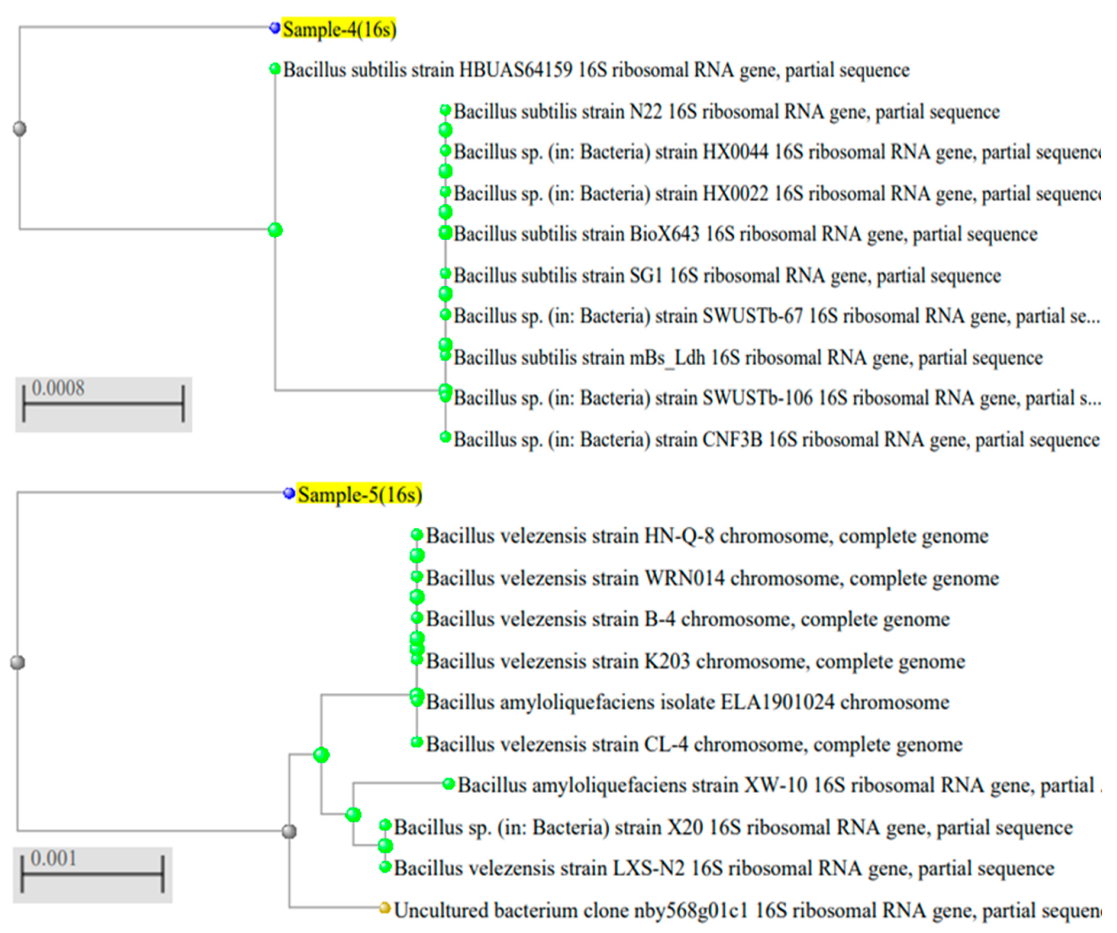 Stresses 05 00009 g002