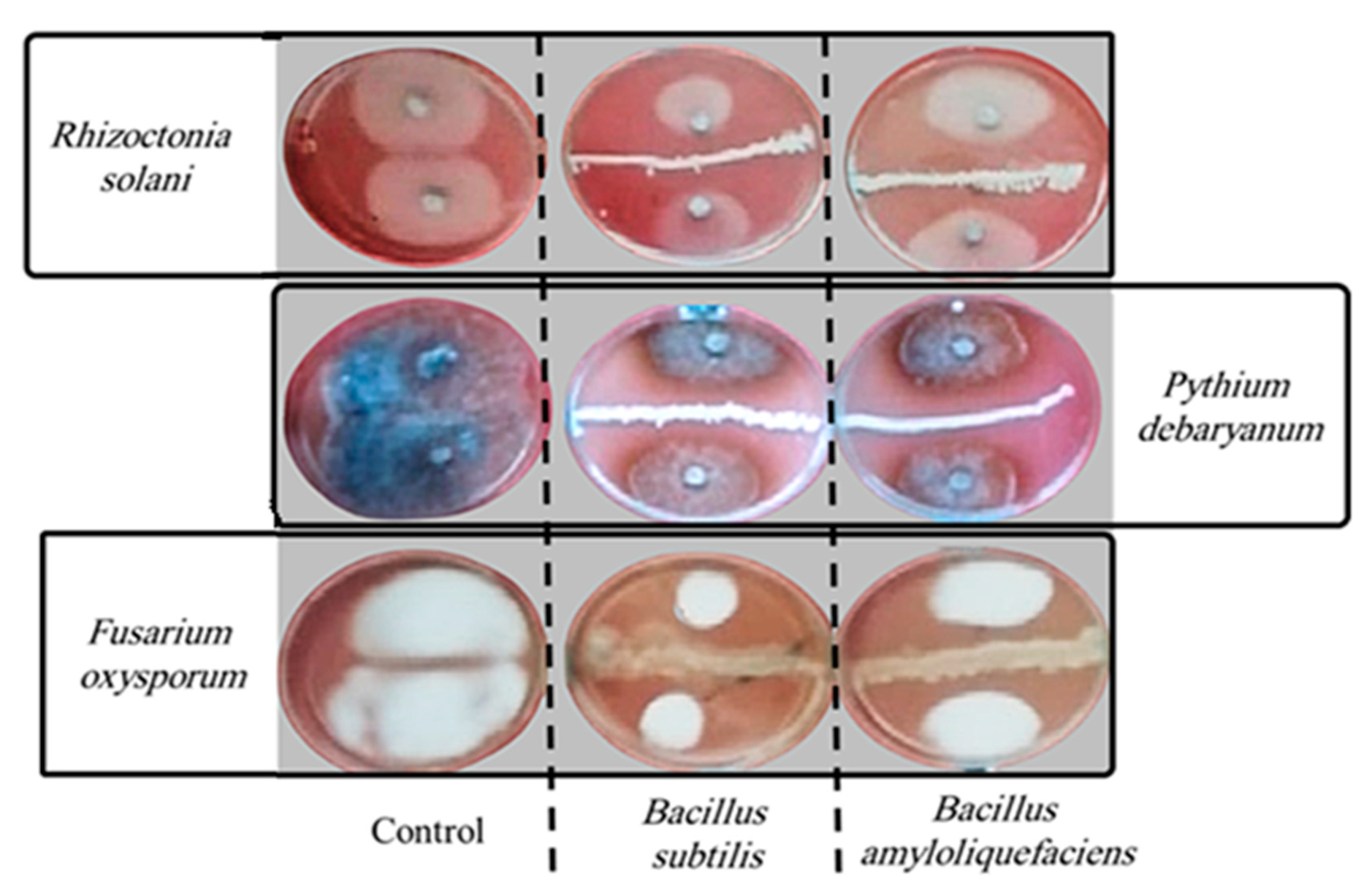 Stresses 05 00009 g003
