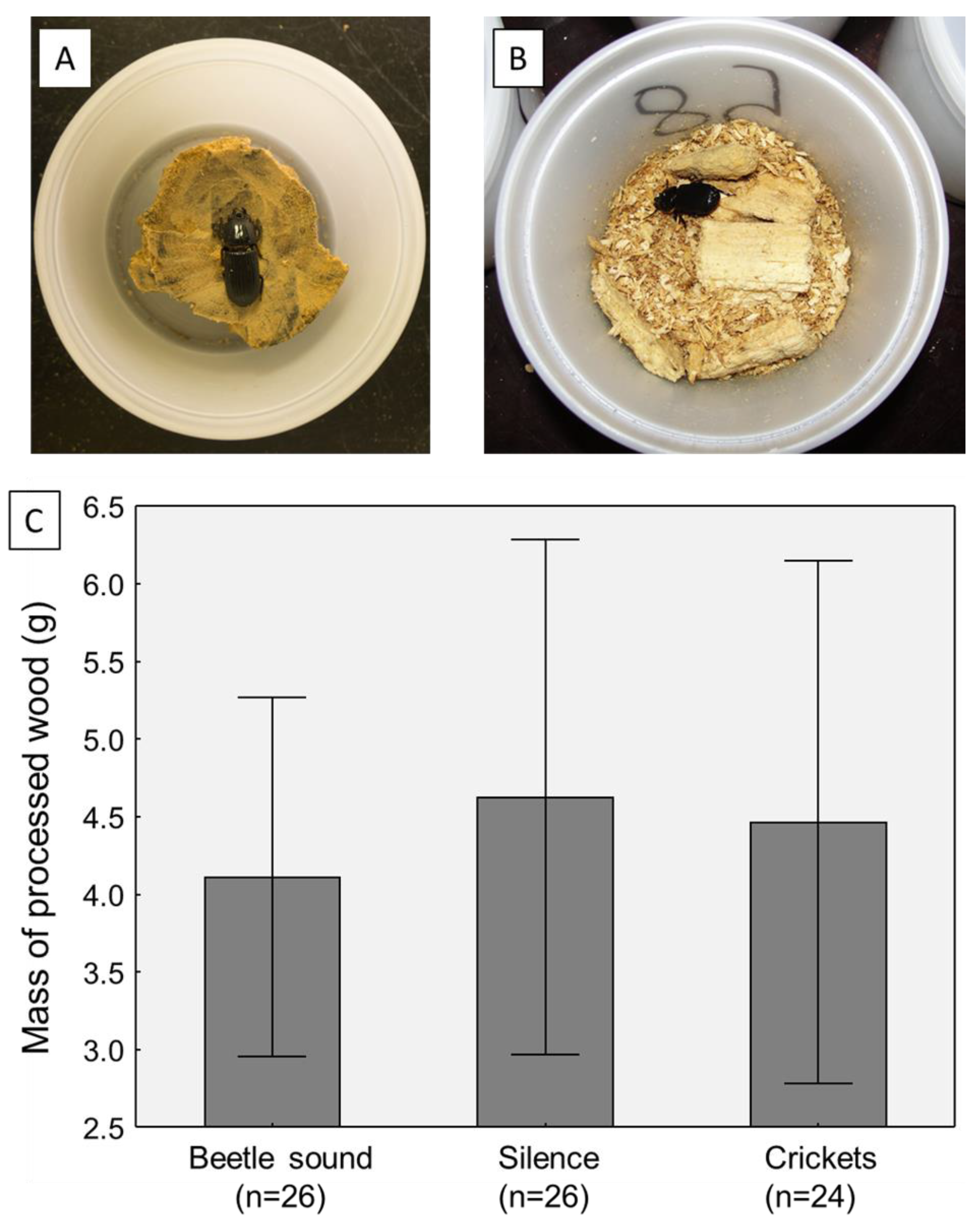 Stresses 05 00011 g003
