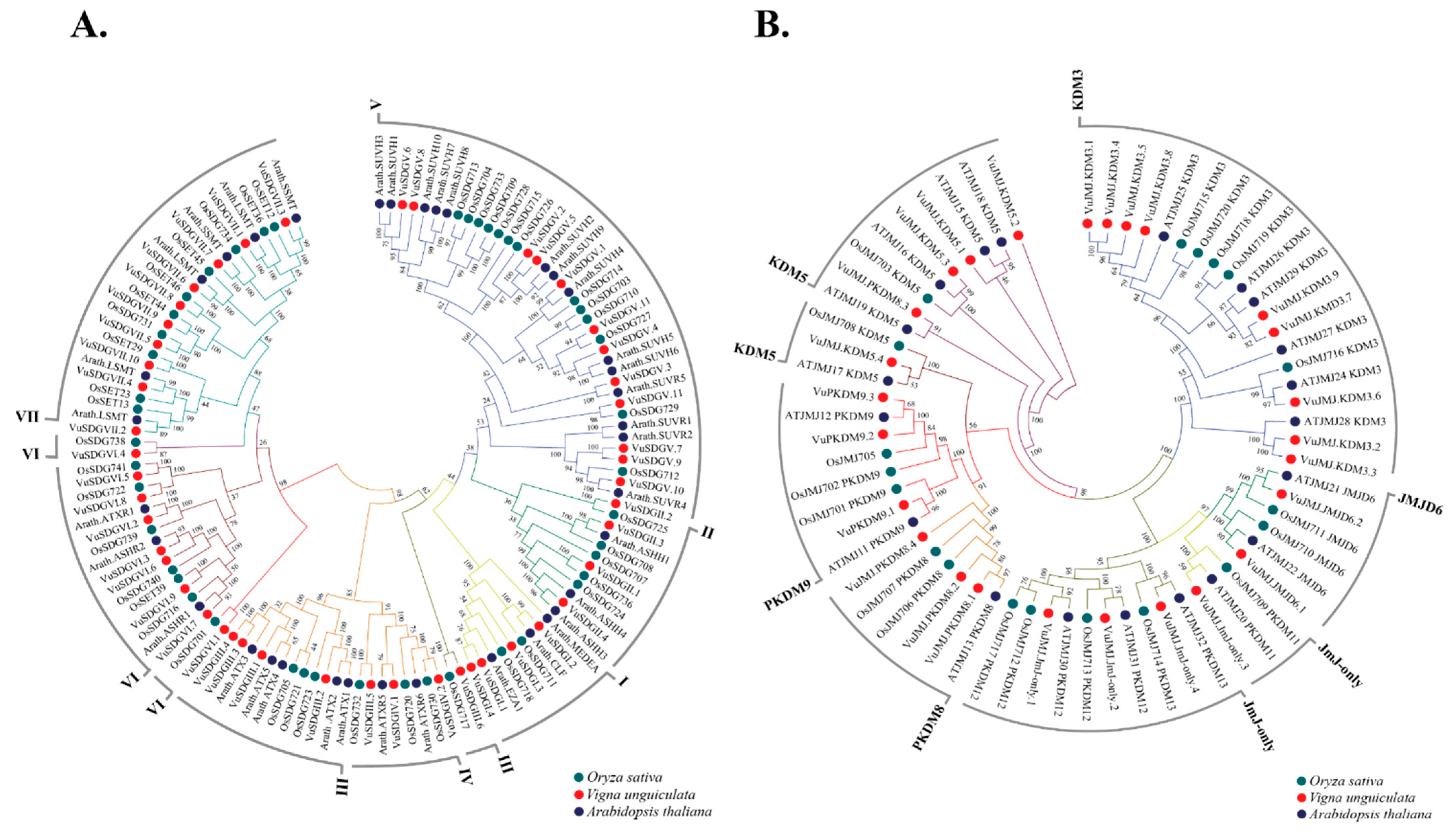 Stresses 05 00013 g001