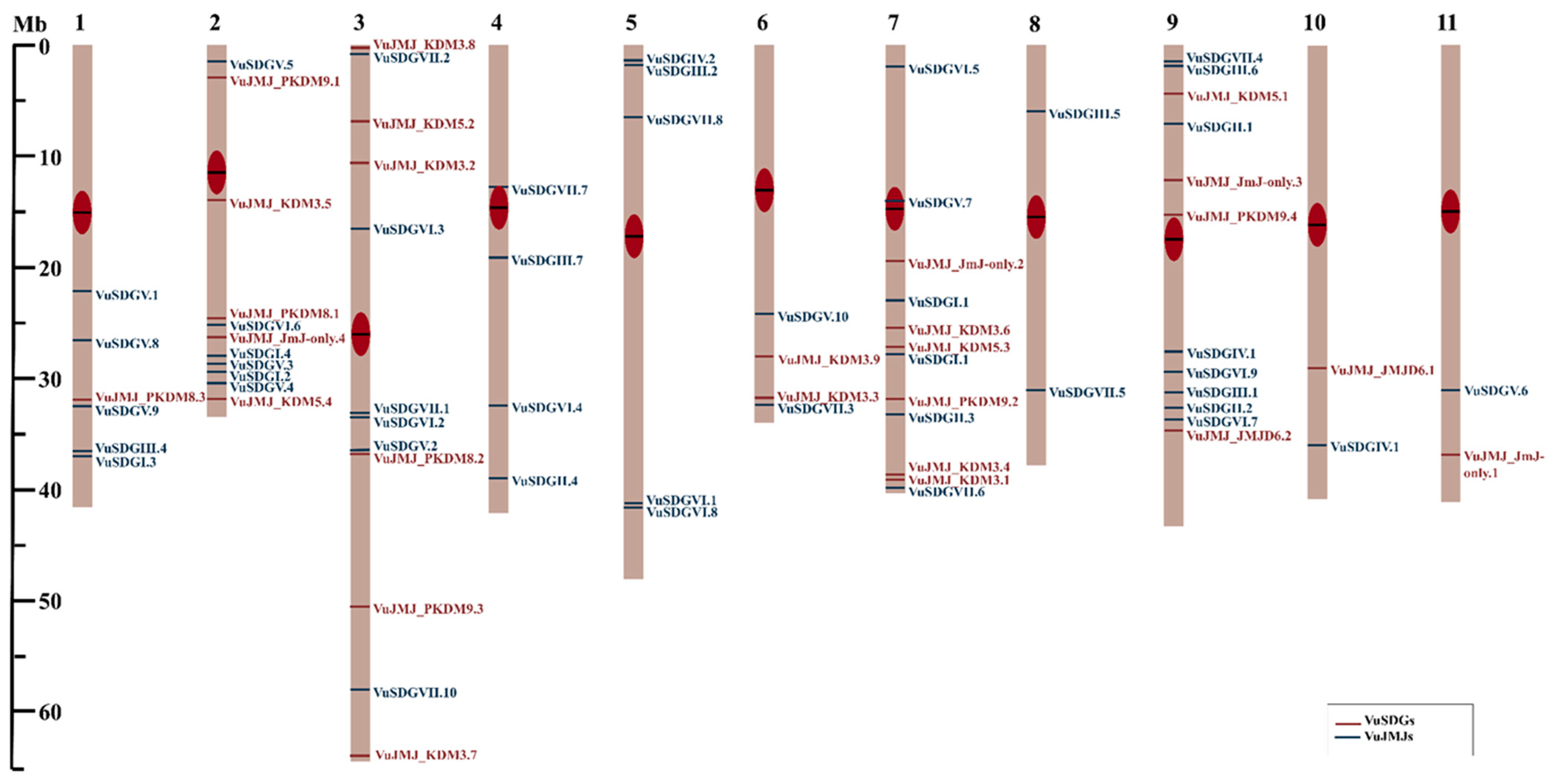 Stresses 05 00013 g002