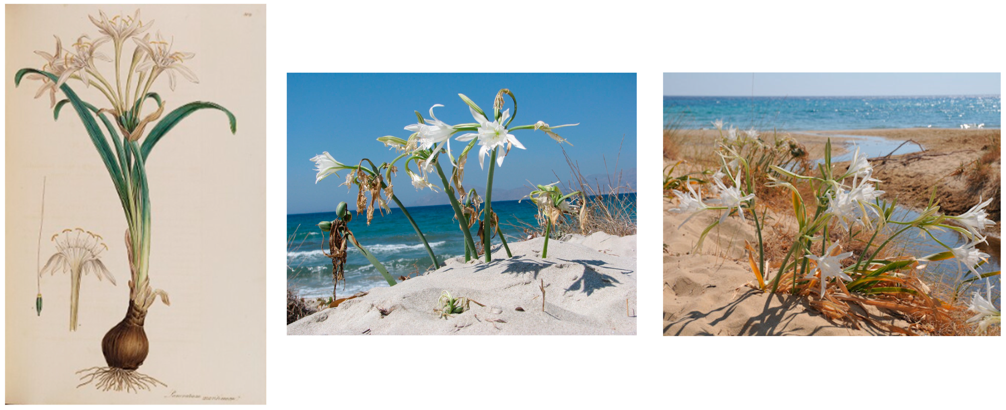 Stresses 05 00014 g001