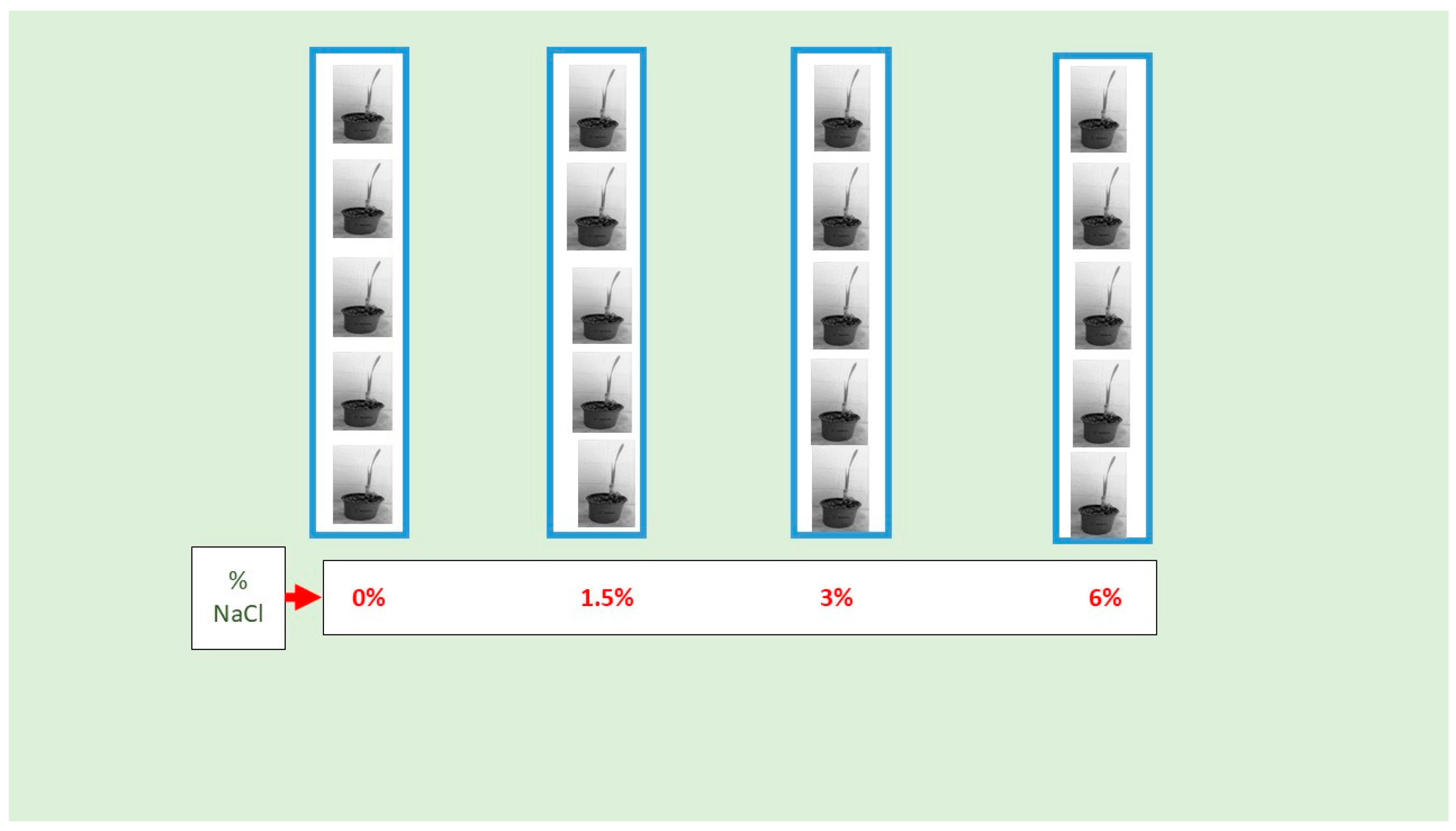 Stresses 05 00014 g010