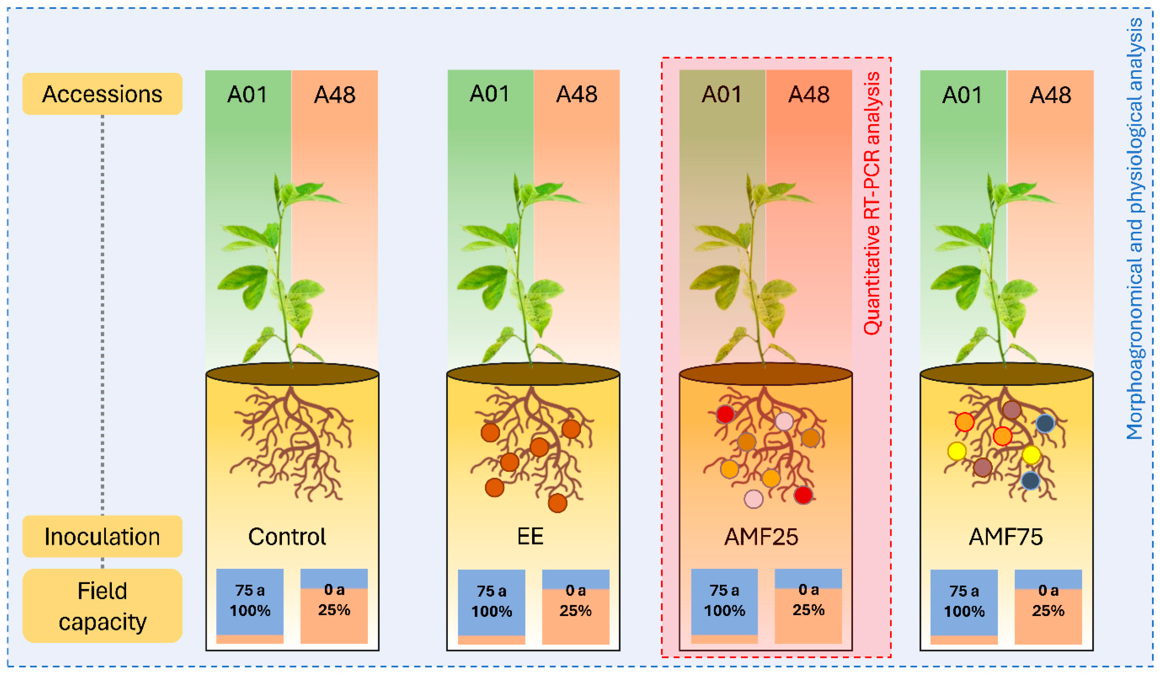 Stresses 05 00018 g008