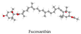 Stresses 05 00022 i002