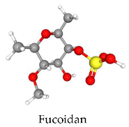 Stresses 05 00022 i003