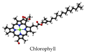 Stresses 05 00022 i005