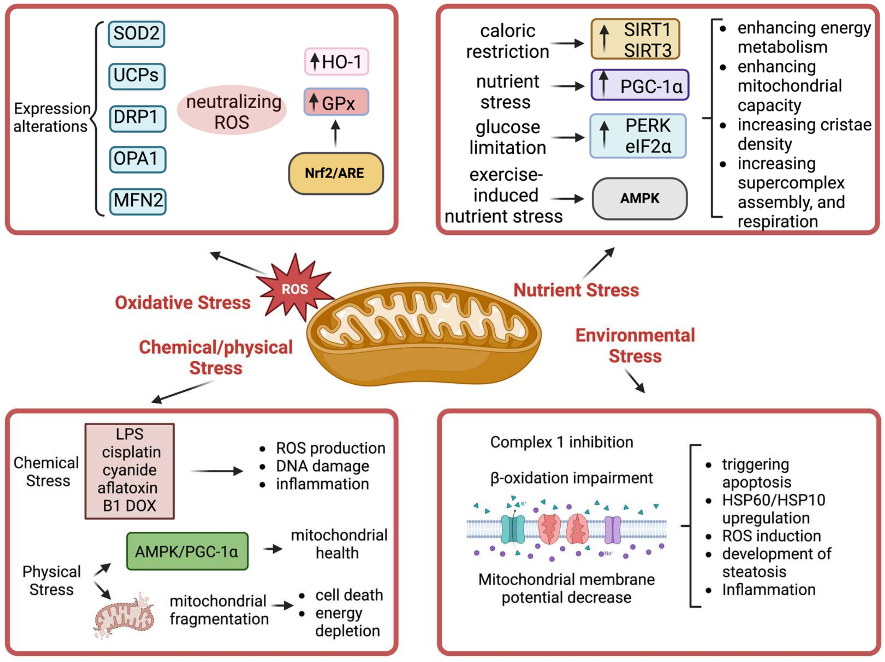 Stresses 05 00026 g002