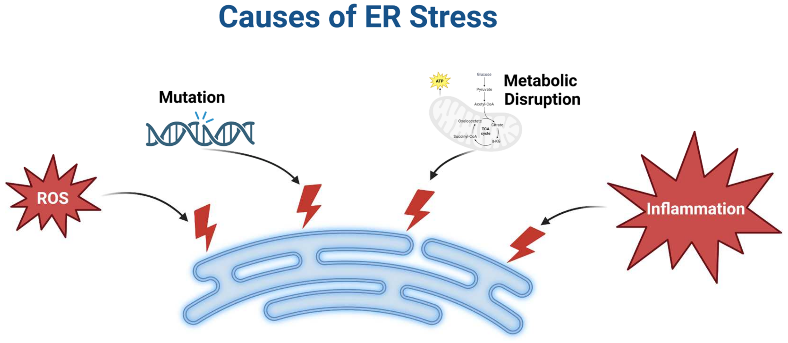 Stresses 05 00026 g003