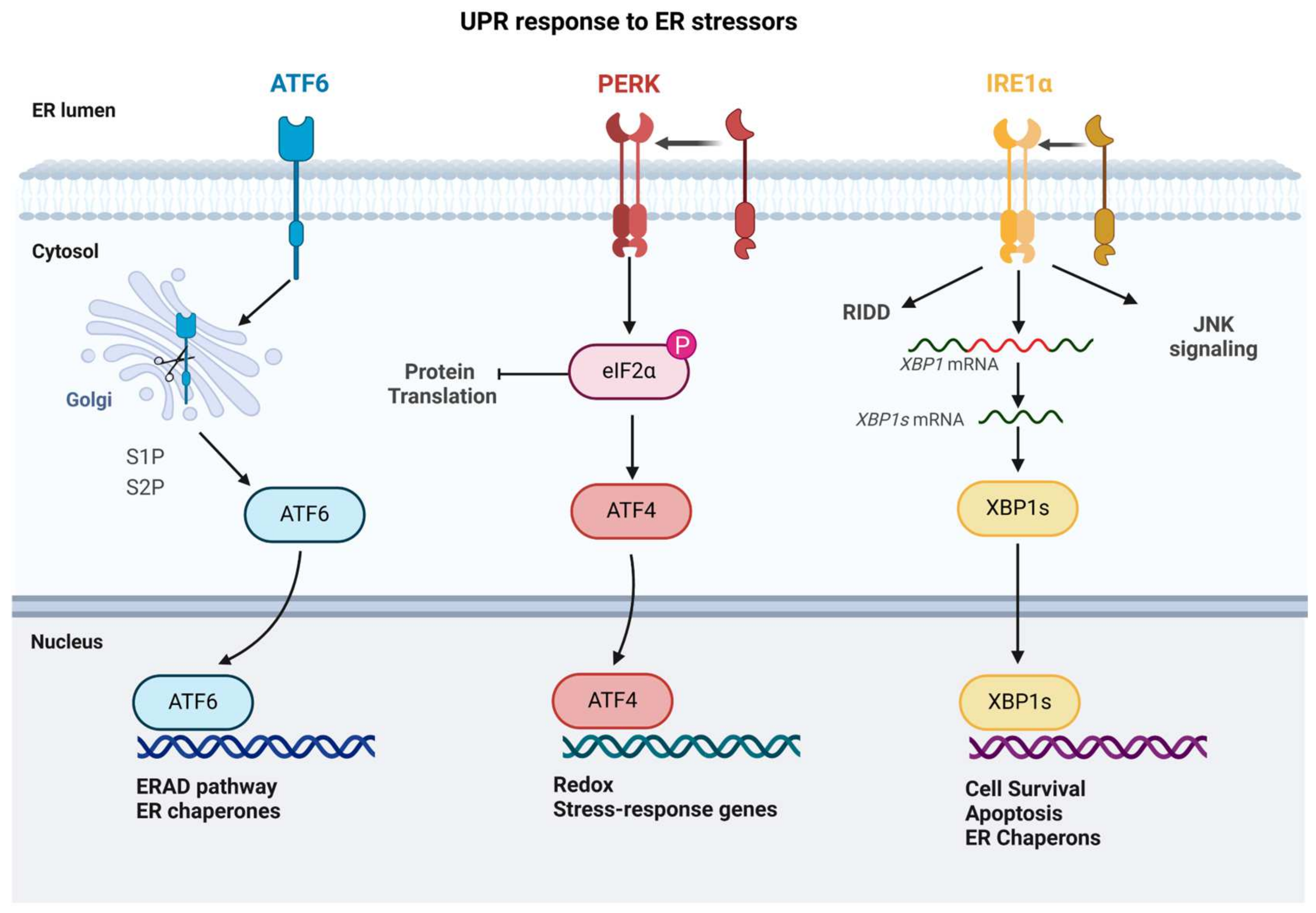 Stresses 05 00026 g004