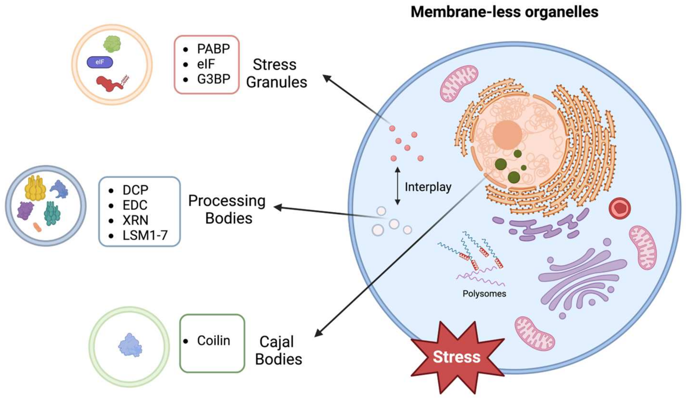 Stresses 05 00026 g007