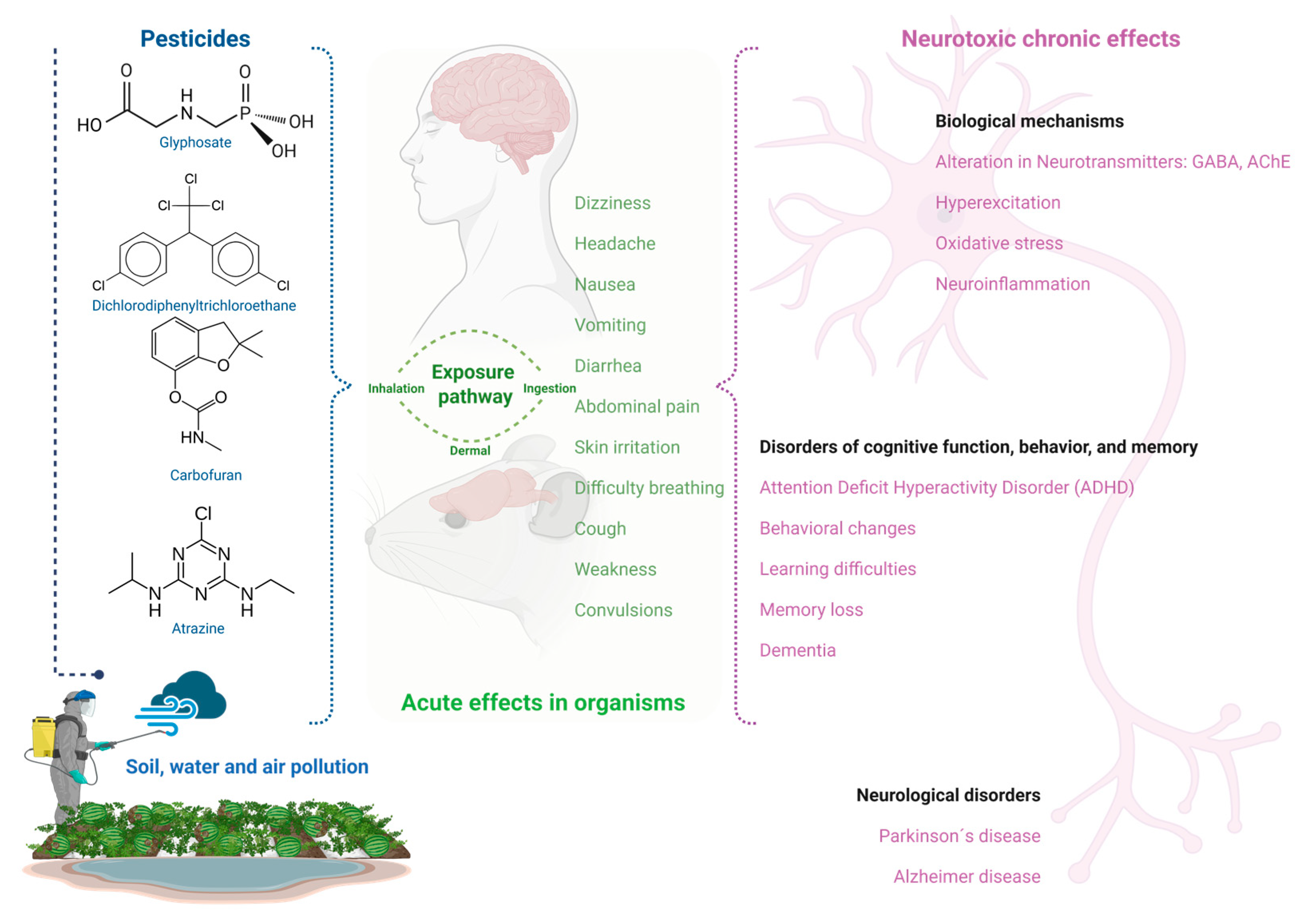 Stresses 05 00031 g001 Stresses 05 00031 g001
